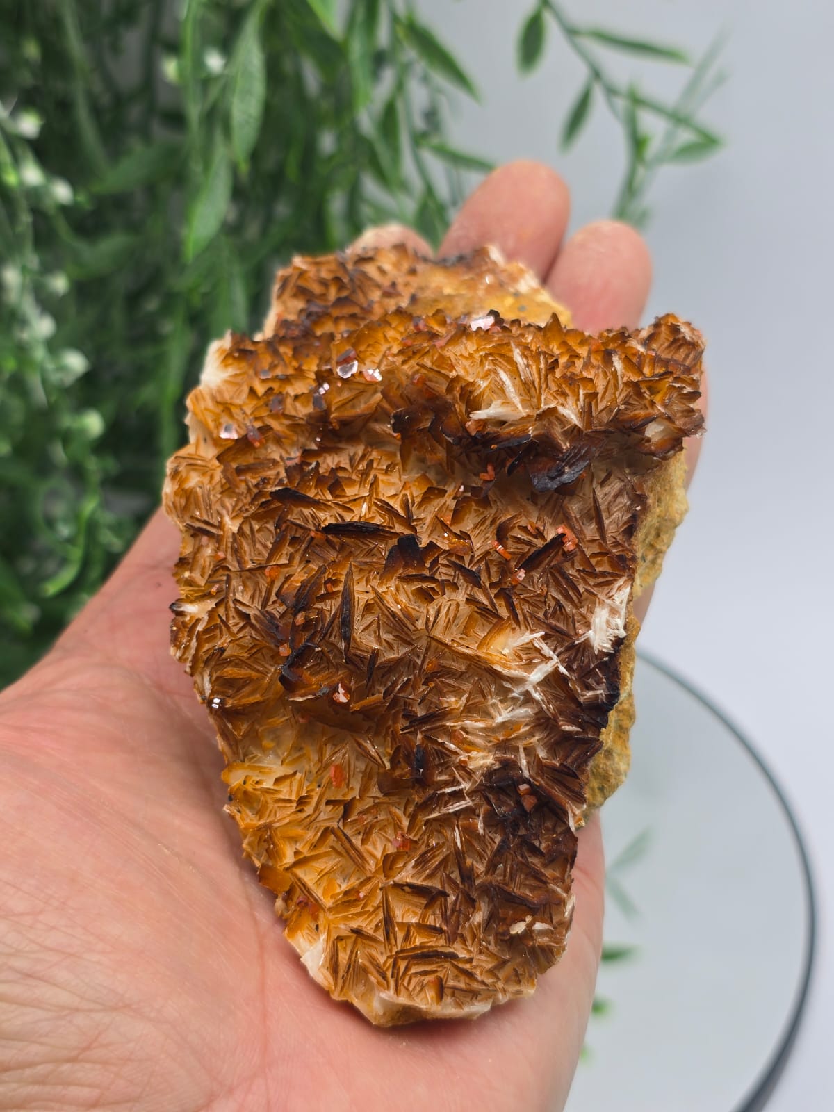 Rare Vanadinite with Baryte Cluster 476g Crystal Wellness