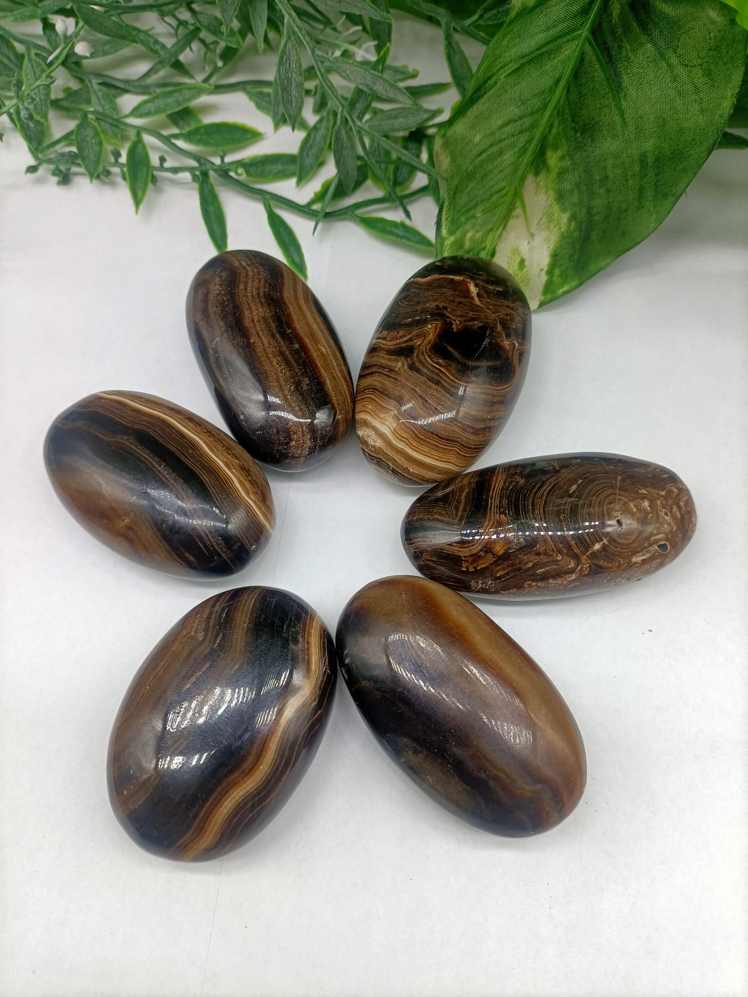Brown Aragonite Palm Stone Crystal Wellness
