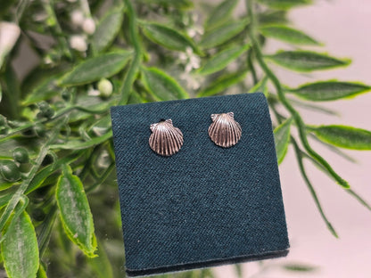 Seashell Sterling Silver Stud Earrings Crystal Wellness