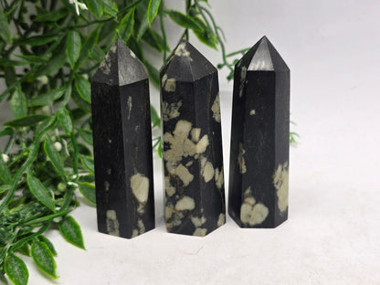 Plum Blossom Jasper Point Crystal Wellness