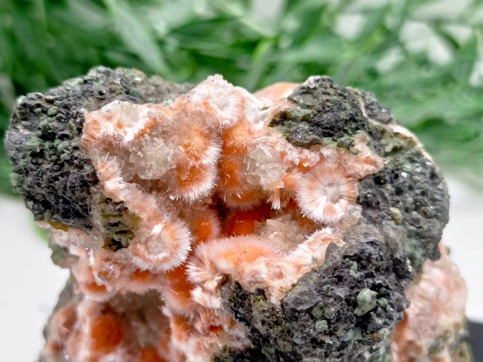 Orange Thomsonite with Mesolite Spikes 72x55x54mm Crystal Wellness