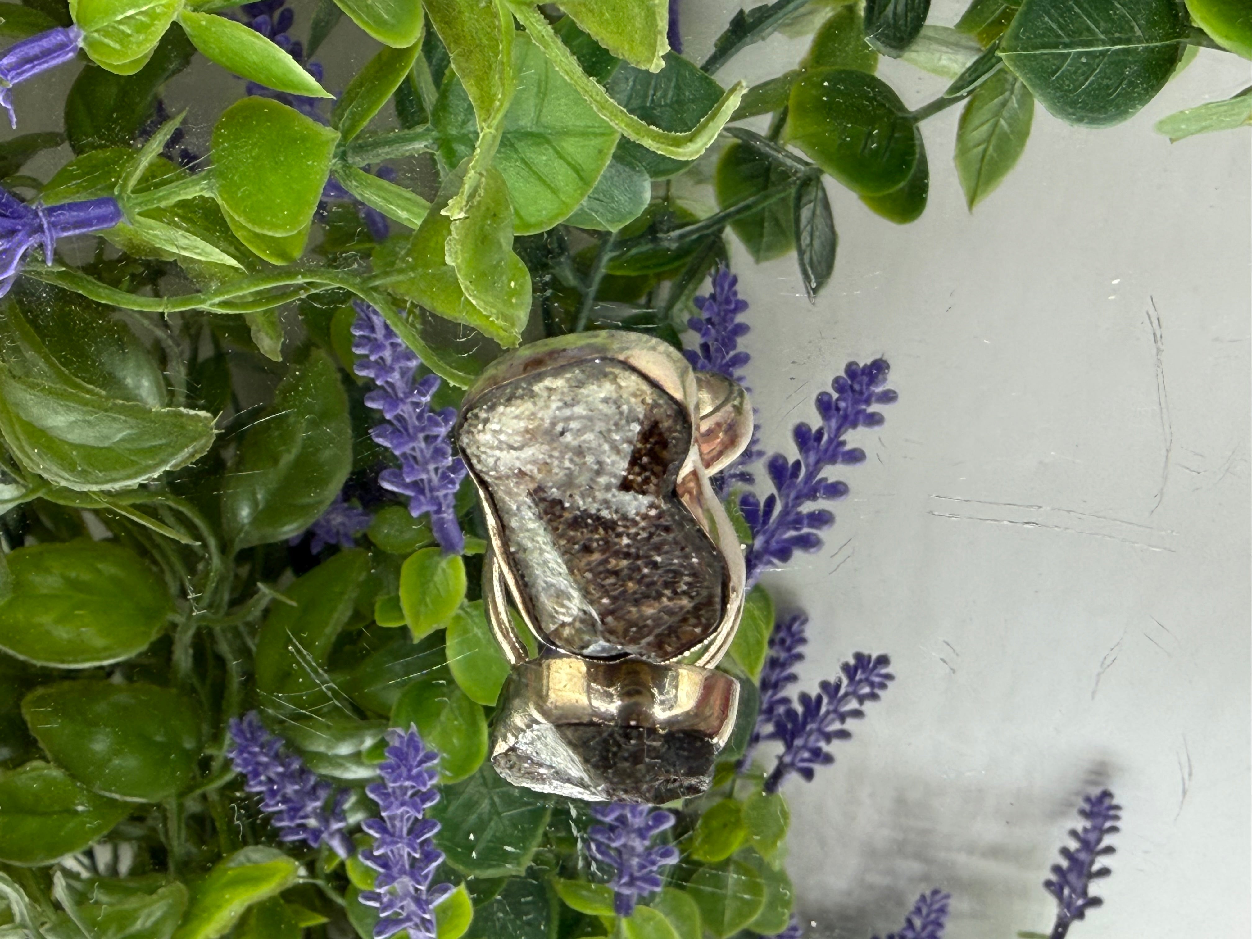 ✦ Chiastolite Ring — Stone of Protection & Inner Strength, size 7 Crystal Wellness
