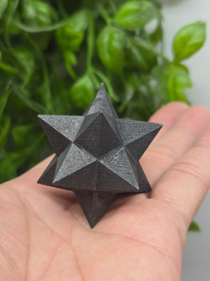 Shungite Polyhedron Crystal Wellness