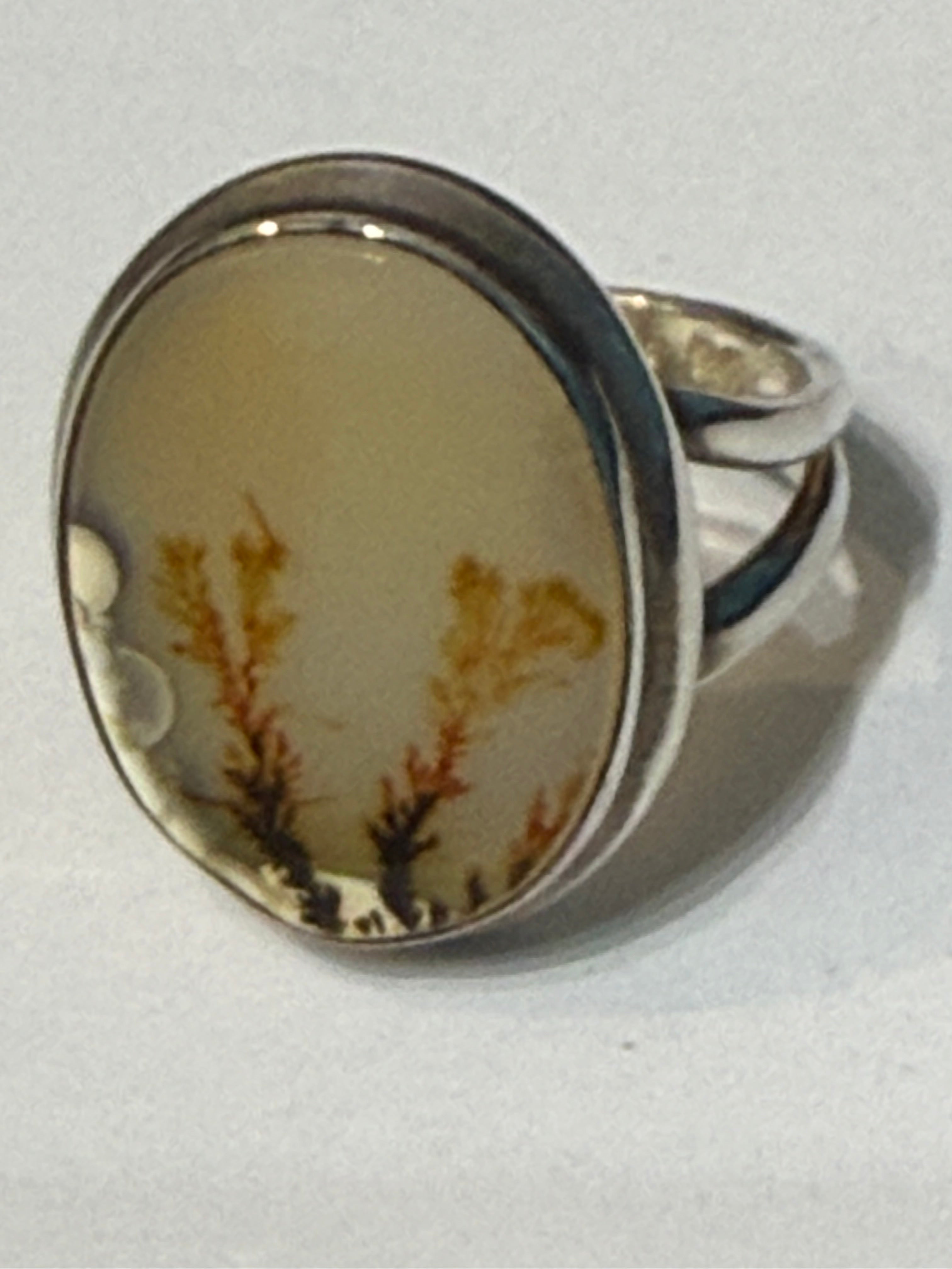 Scenic Agate Sterling Silver Ring Size 7 Crystal Wellness