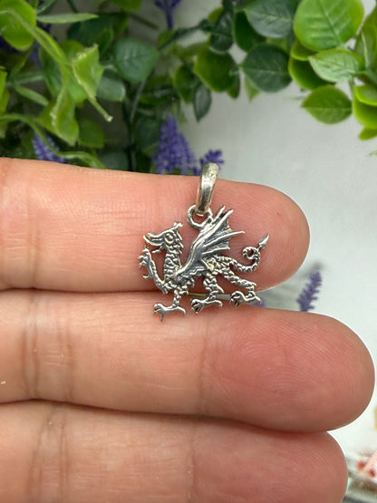 🐉 Dragon Silver Pendant — Strength, Protection & Transformation, 12mmx18mm Crystal Wellness