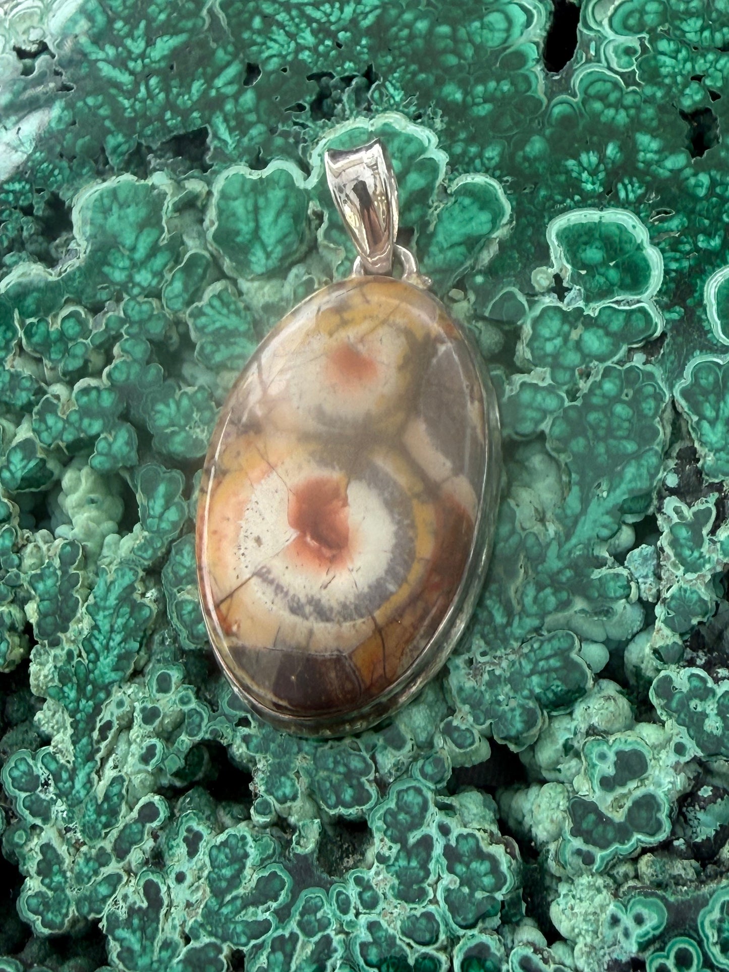 Earth’s Quiet Vision — Bird’s Eye Jasper Silver Pendant 42mmx25mm Crystal Wellness