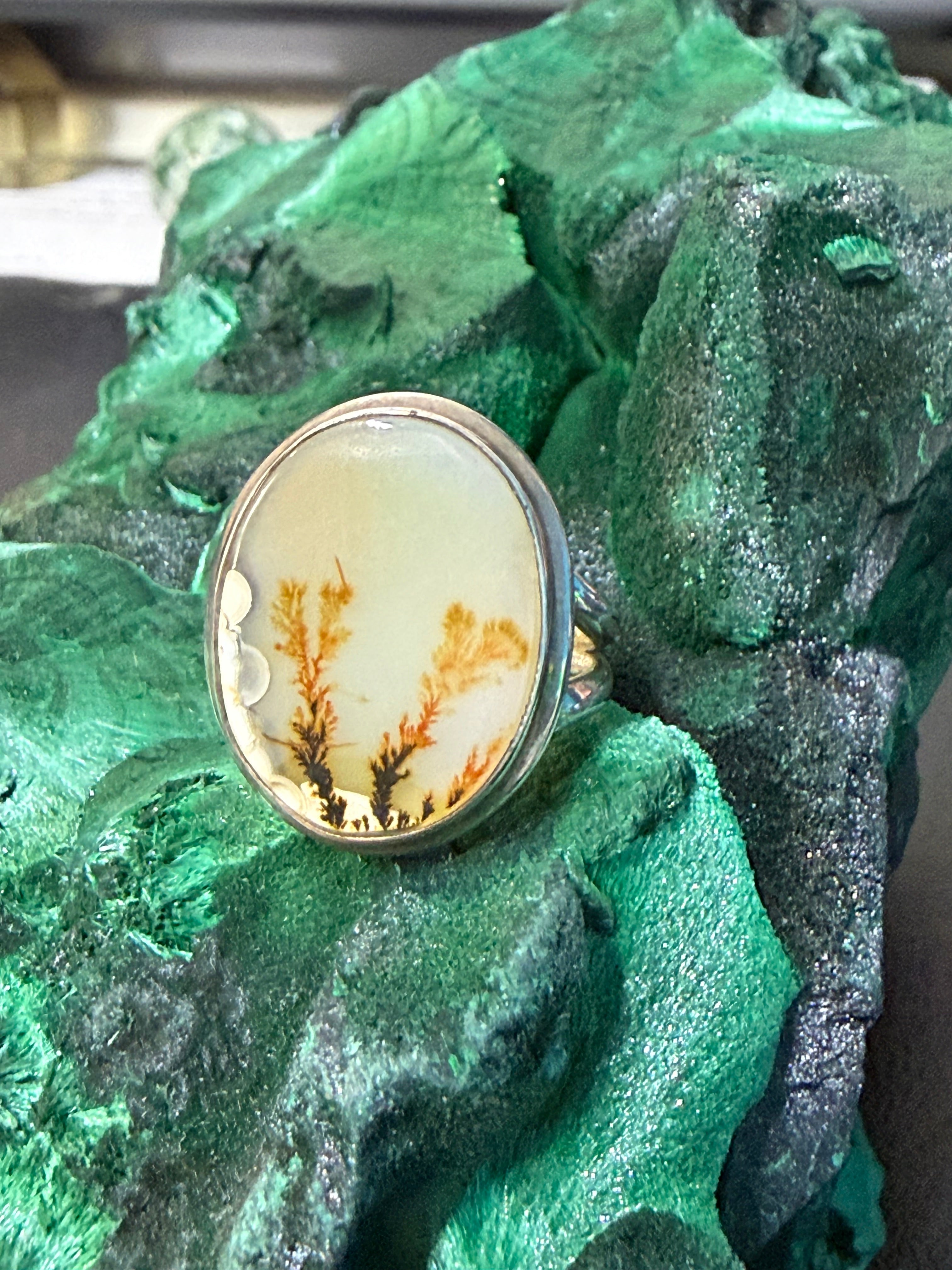 Scenic Agate Sterling Silver Ring Size 7 Crystal Wellness