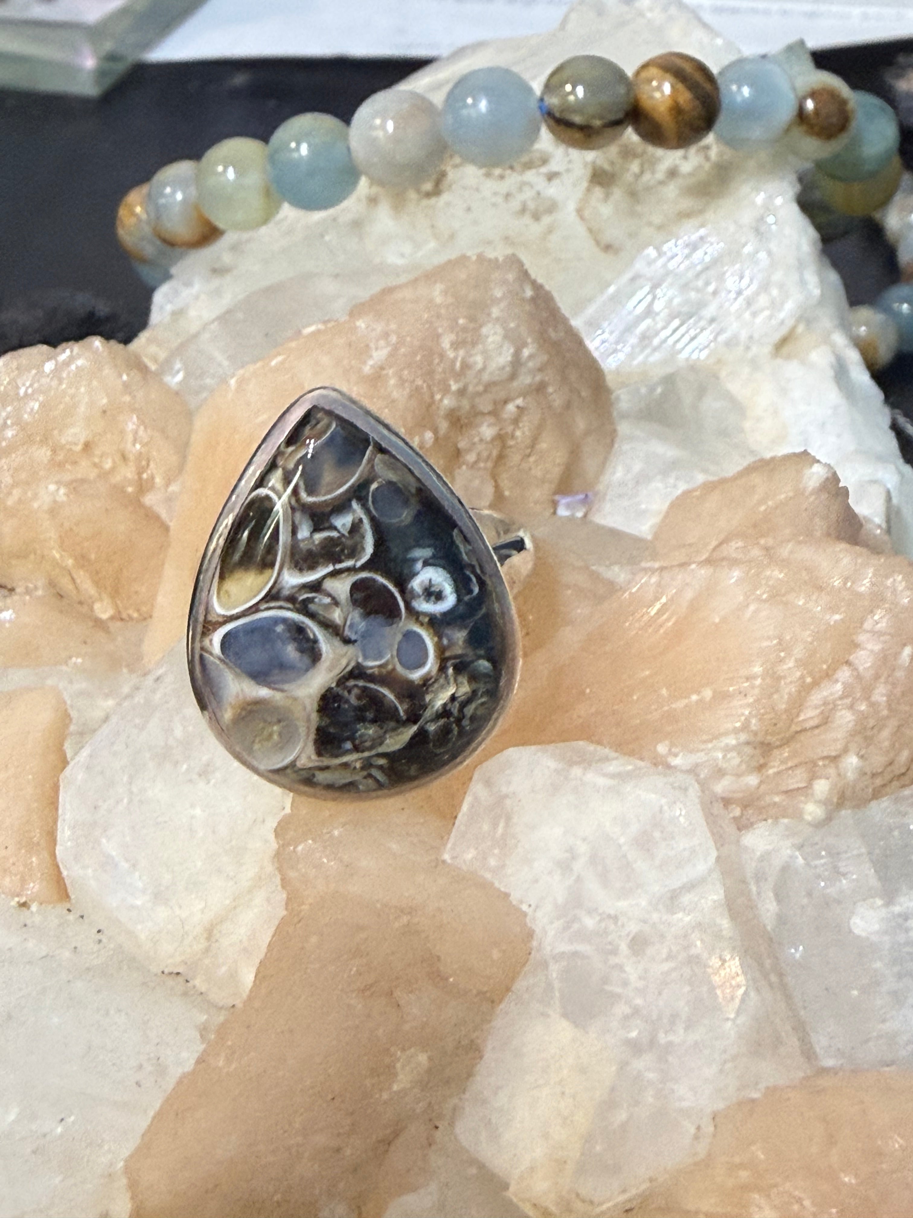 Turtella Jasper Ring, size 8

A whisper of ancient earth and ocean, Turtella Jasper carries the fossilized memory of life itself. Crystal Wellness