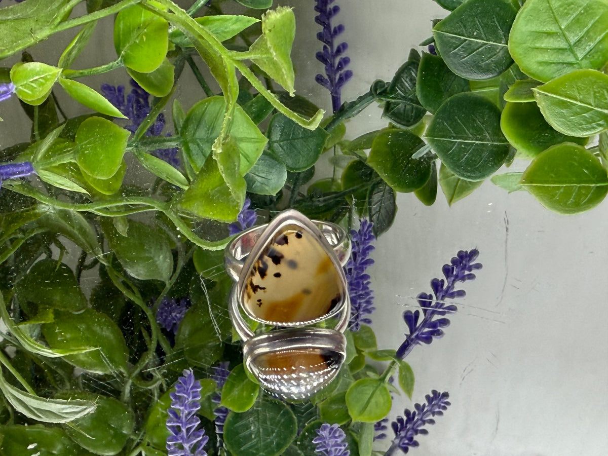 Montana Agate Ring — Earthly Wisdom & Steady Growth, size 7.5 Crystal Wellness