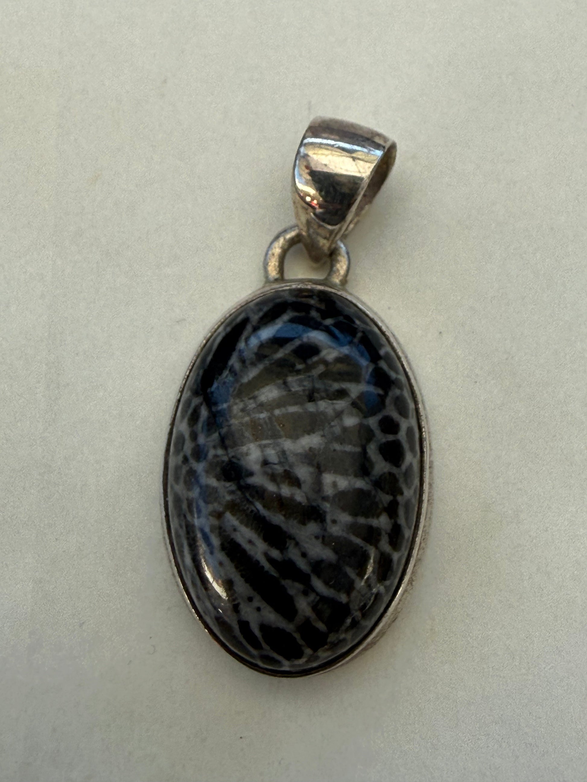 Ocean Guardian Black Coral Pendant 22mmx15mm Crystal Wellness