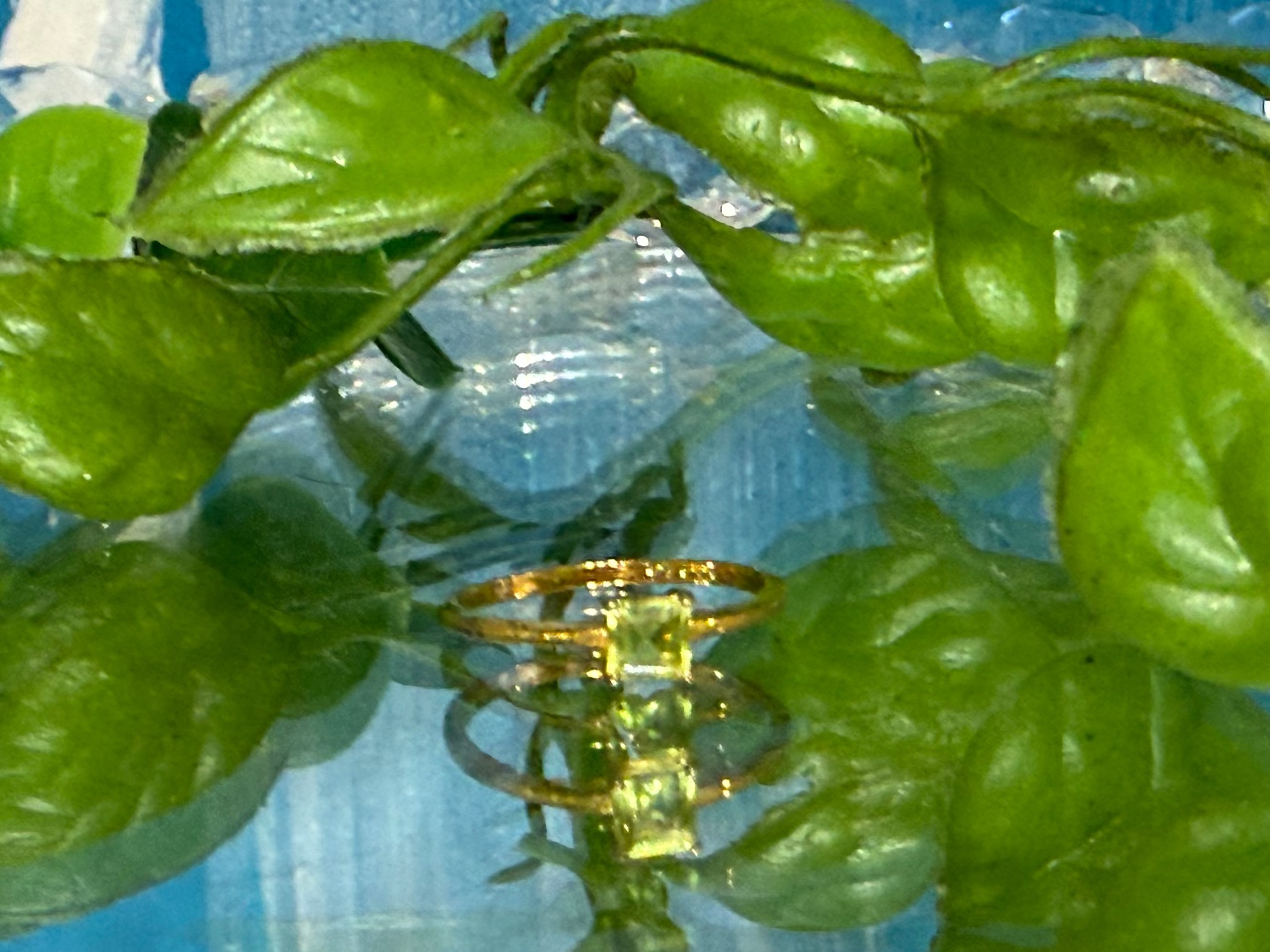 Peridot 18ct Gold Vermeil Ring - Stone of renewal, joy, and heart-centered abundance. Crystal Wellness