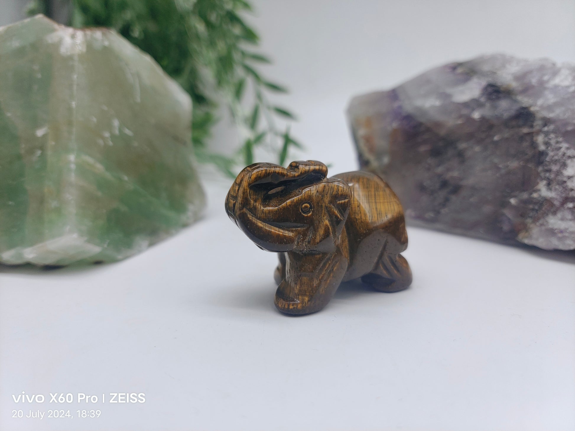 Animal Figurines - Gold Tigers Eye Crystal Wellness