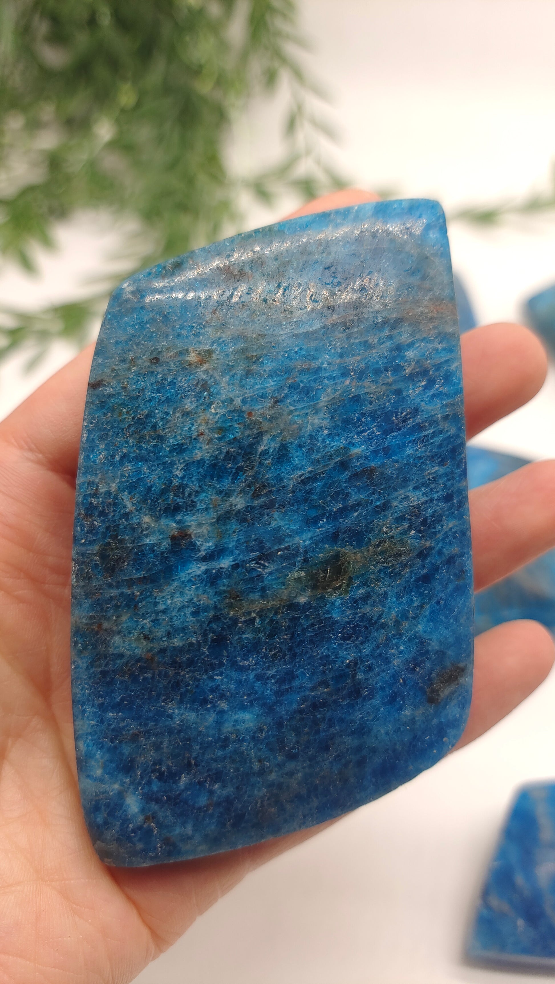 Blue Apatite Freeforms Crystal Wellness