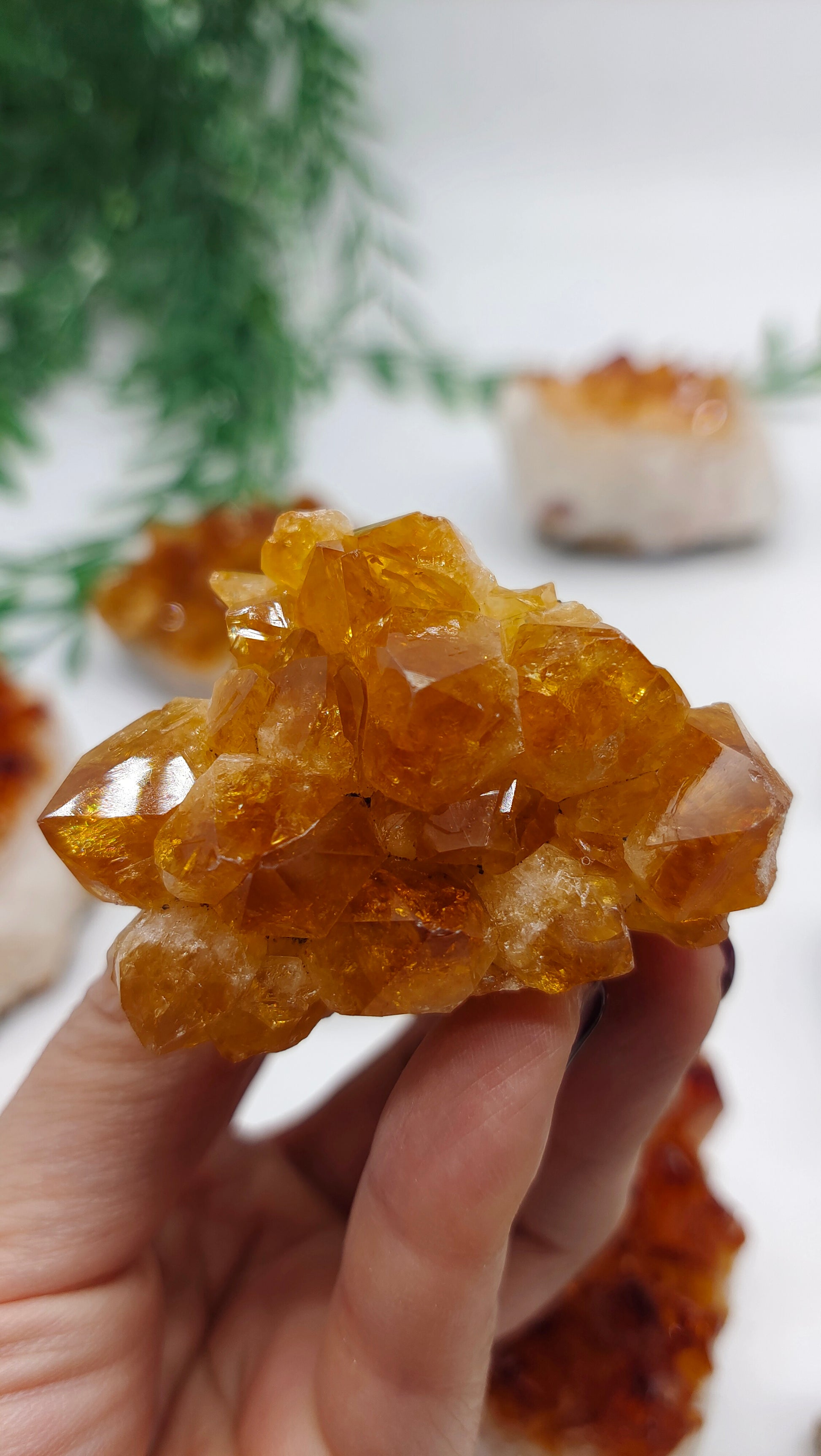 Citrine Cluster Crystal Wellness