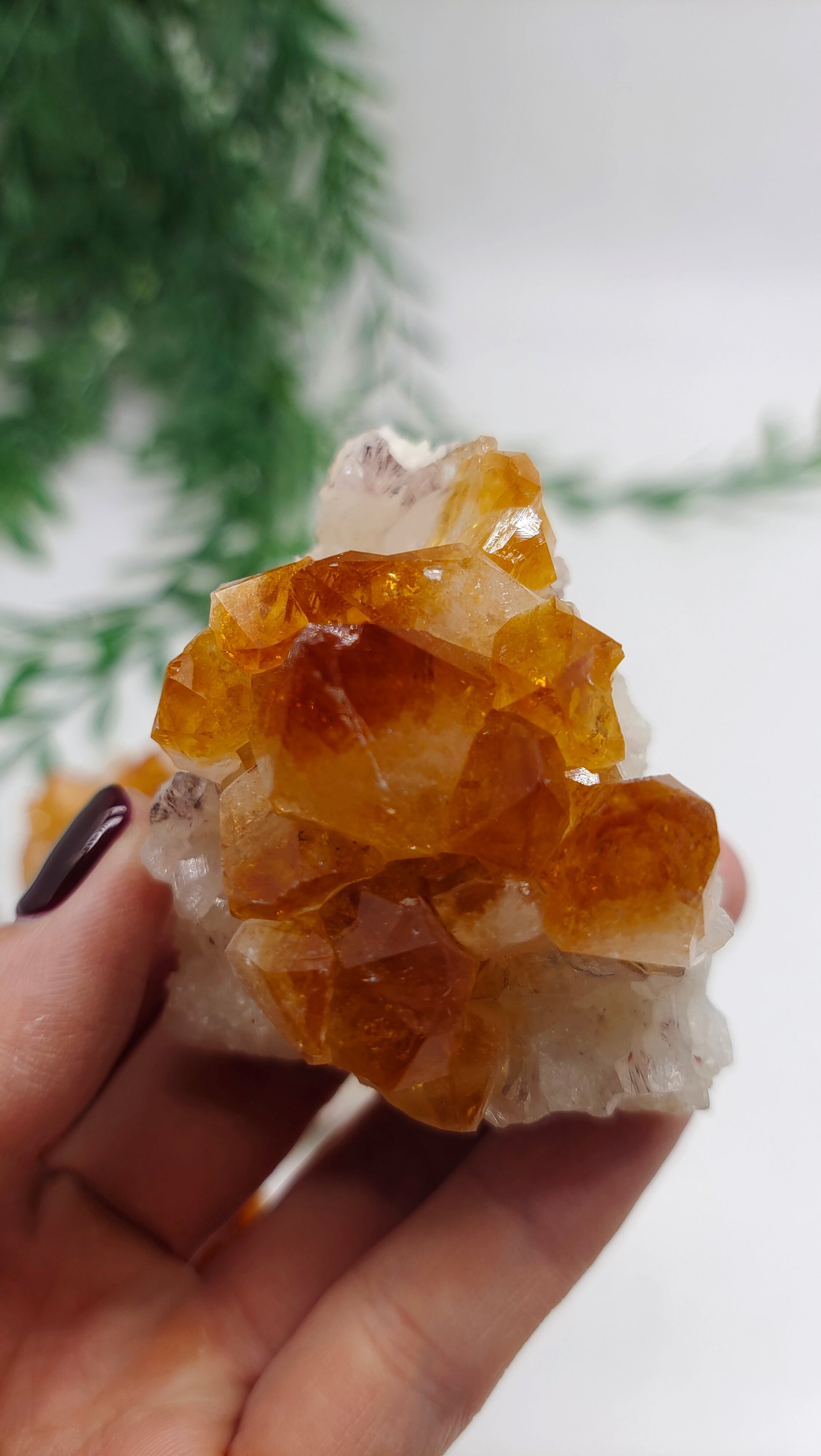 Citrine Cluster Crystal Wellness