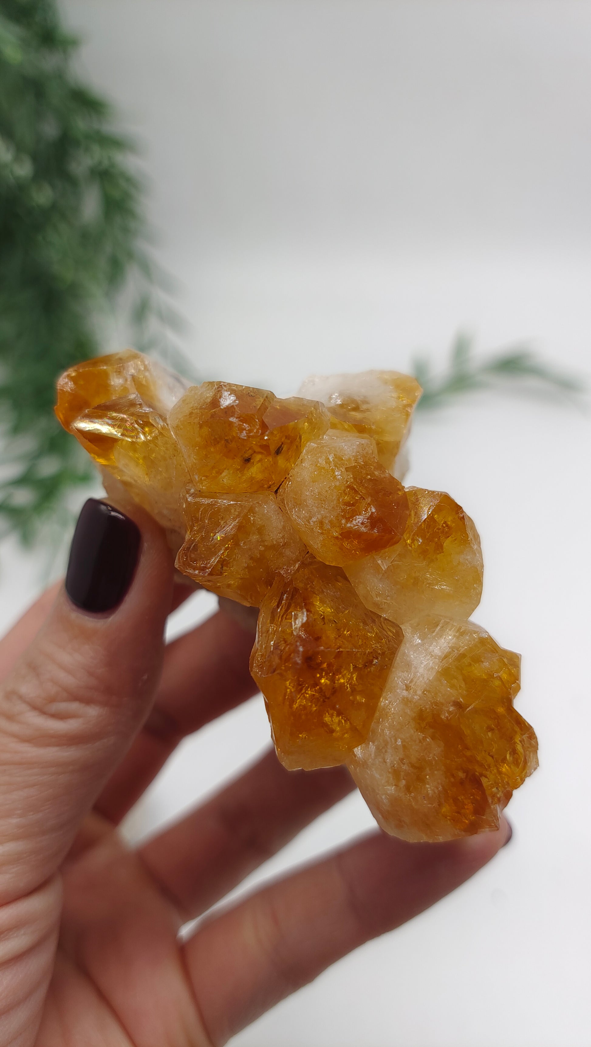 Citrine Cluster Crystal Wellness