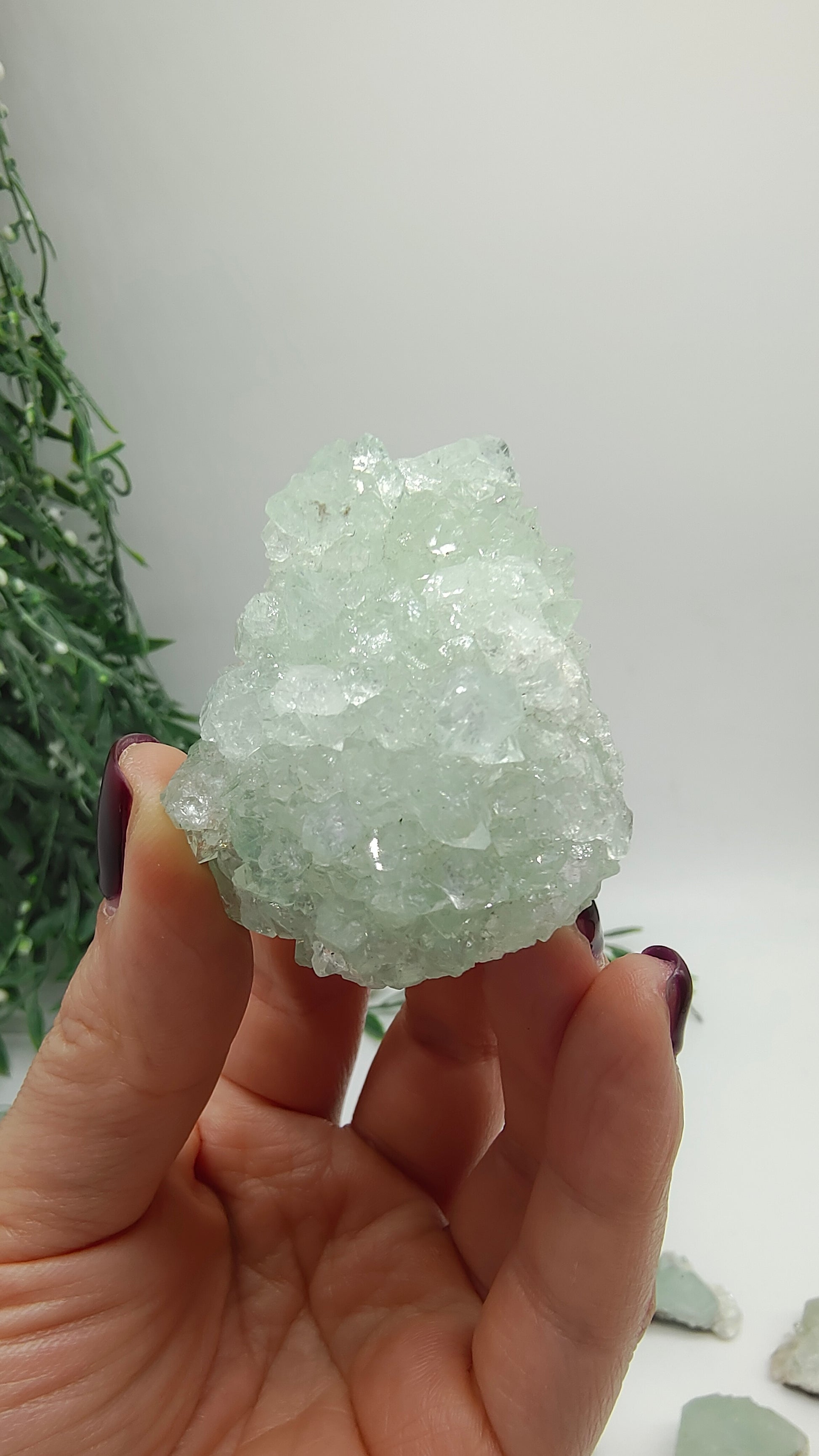 Green apophyllite cluster Crystal Wellness