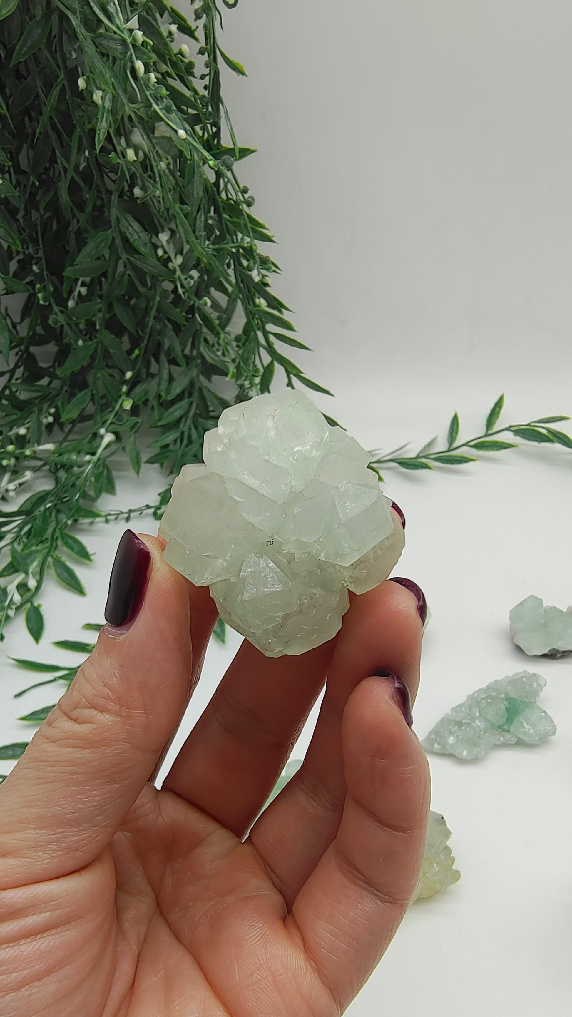 Green apophyllite cluster Crystal Wellness