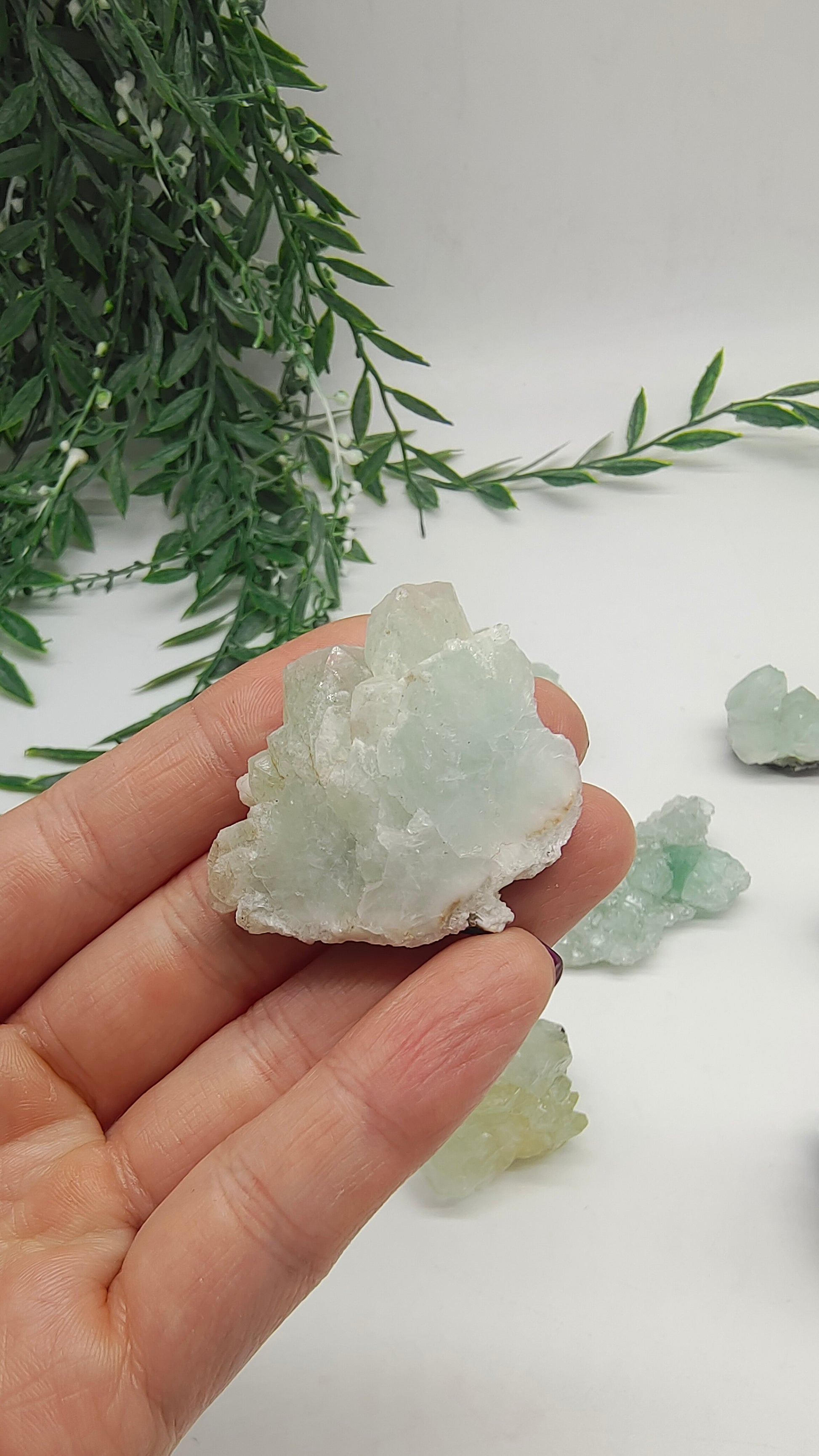 Green apophyllite cluster Crystal Wellness