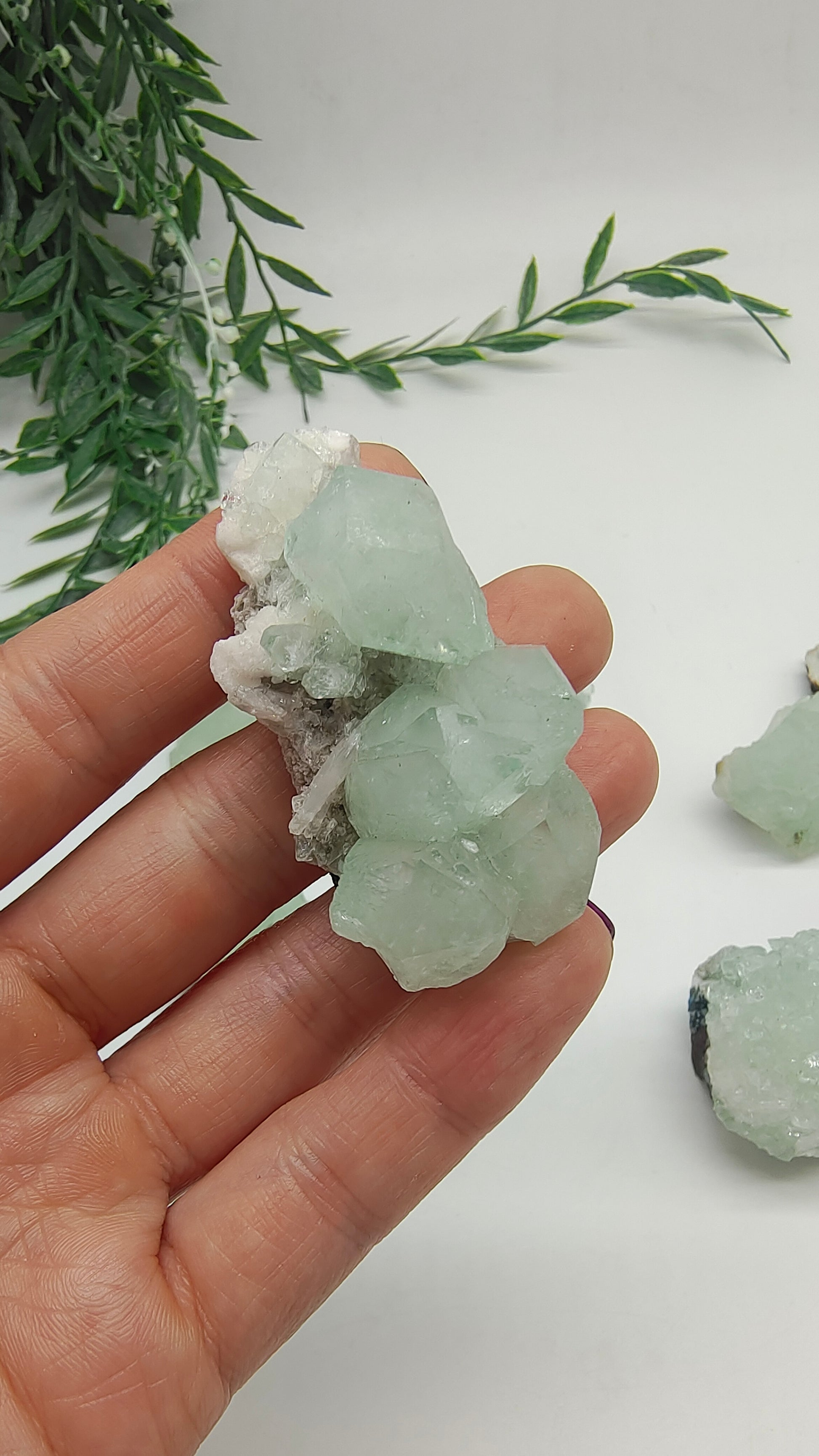 Green apophyllite cluster Crystal Wellness
