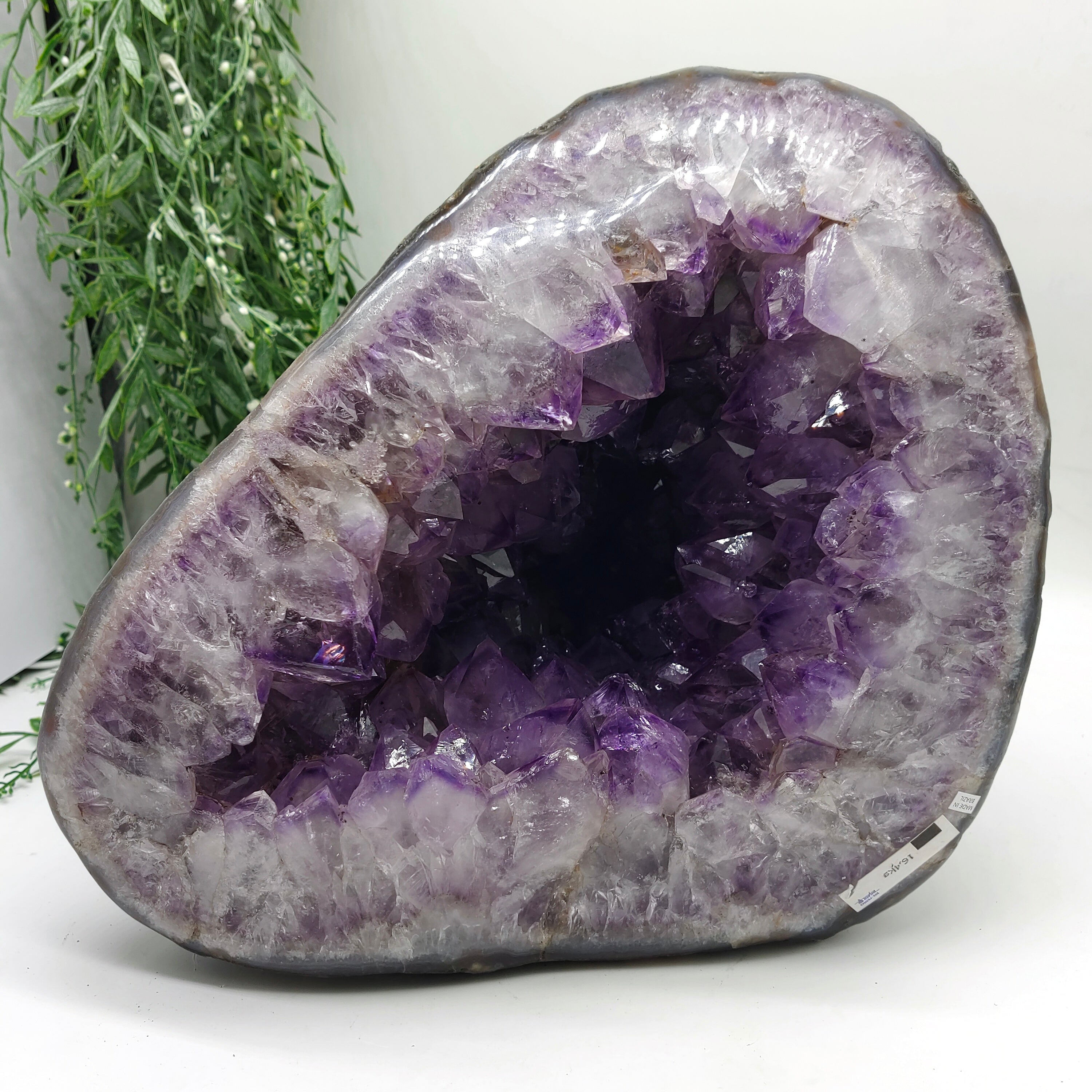 Natural Amethyst Geode 30x25x27cm 16.4kgs Crystal Wellness