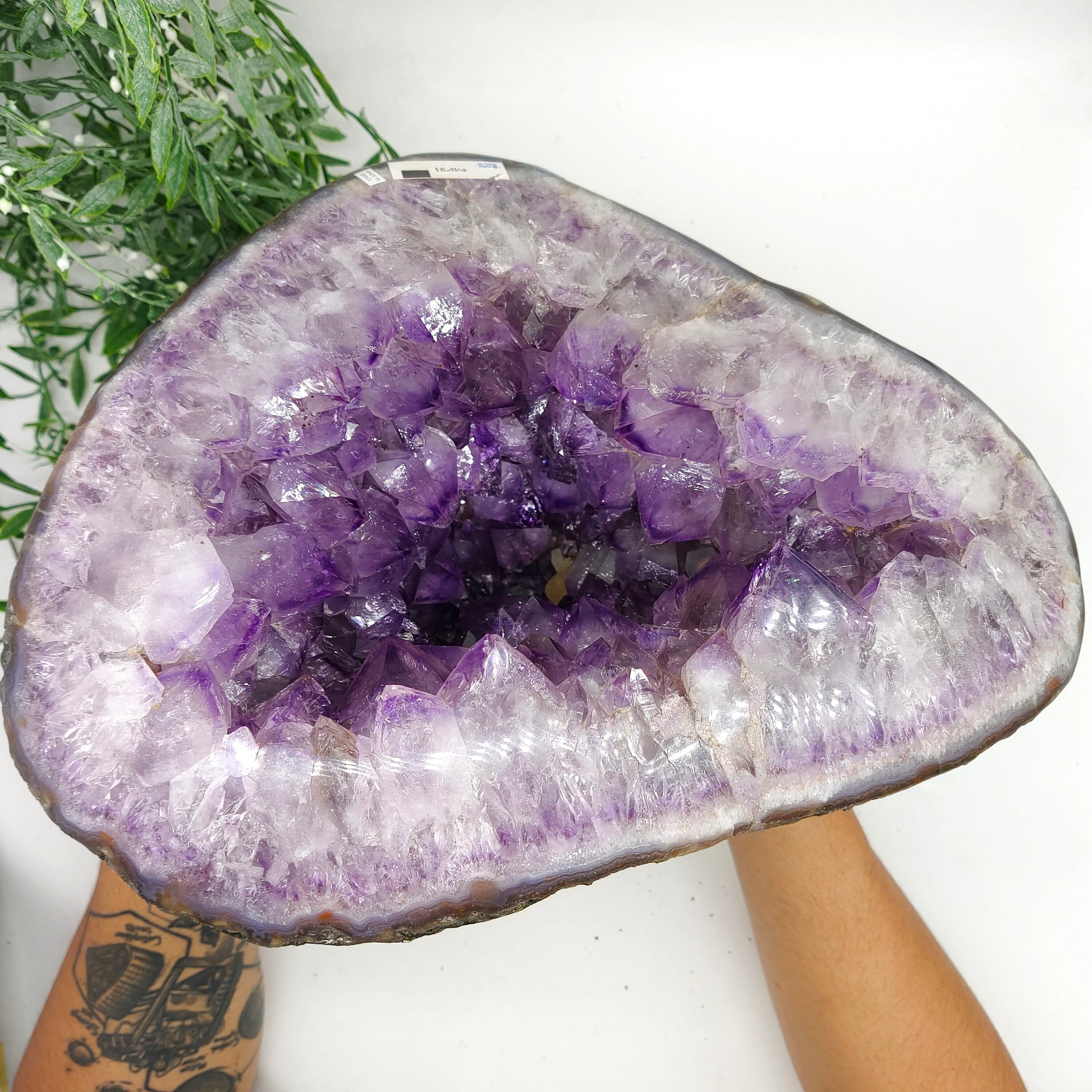 Natural Amethyst Geode 30x25x27cm 16.4kgs Crystal Wellness