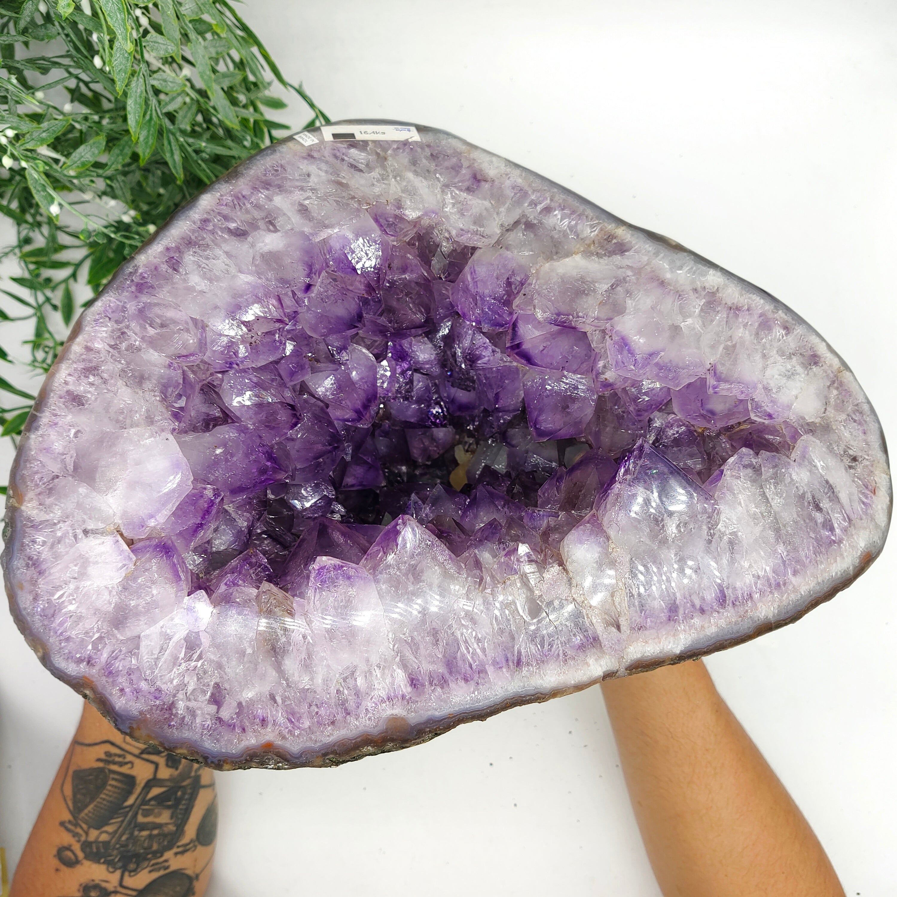 Natural Amethyst Geode 30x25x27cm 16.4kgs Crystal Wellness