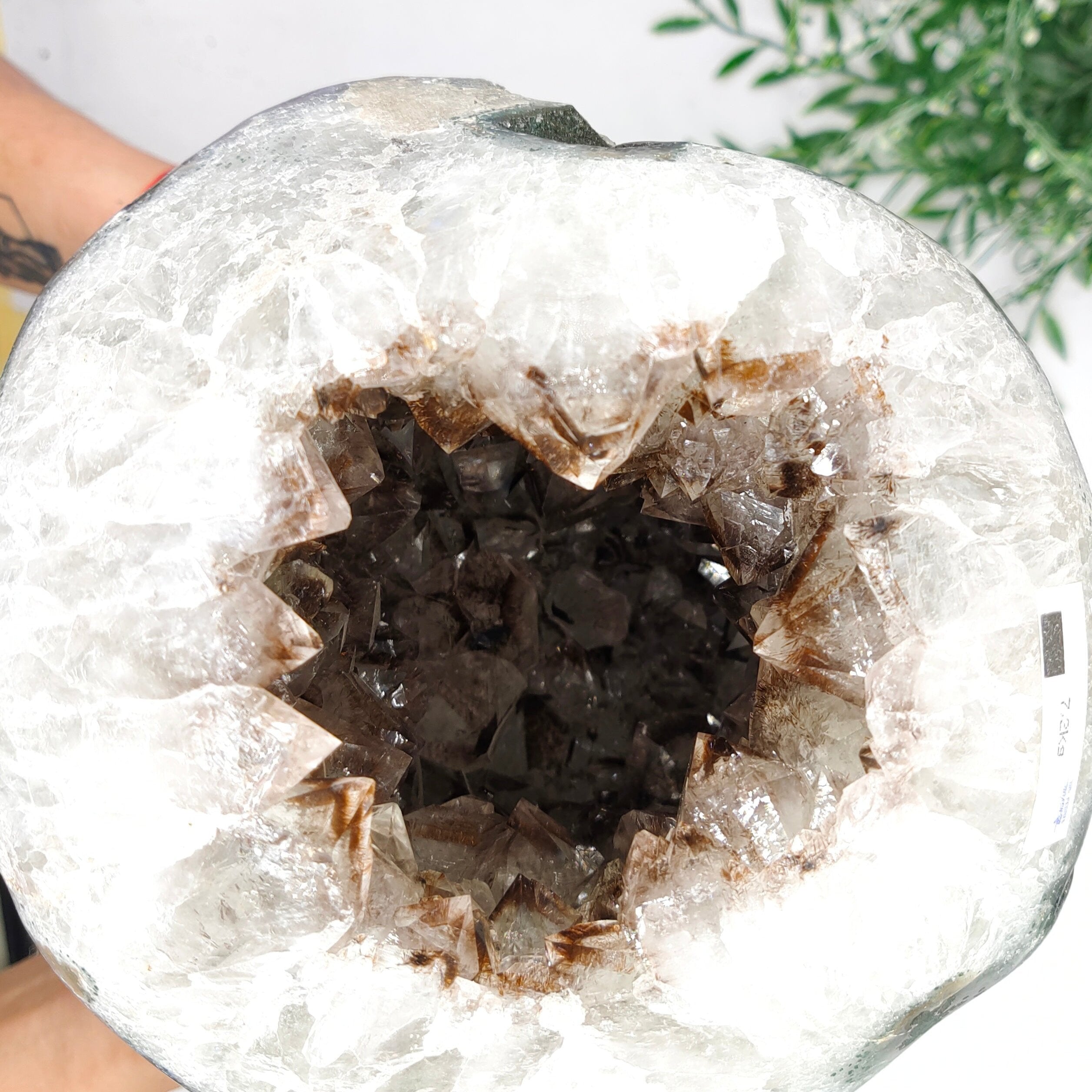 Natural Amethyst Geode 19x18.5x18cm 7.2kgs Crystal Wellness