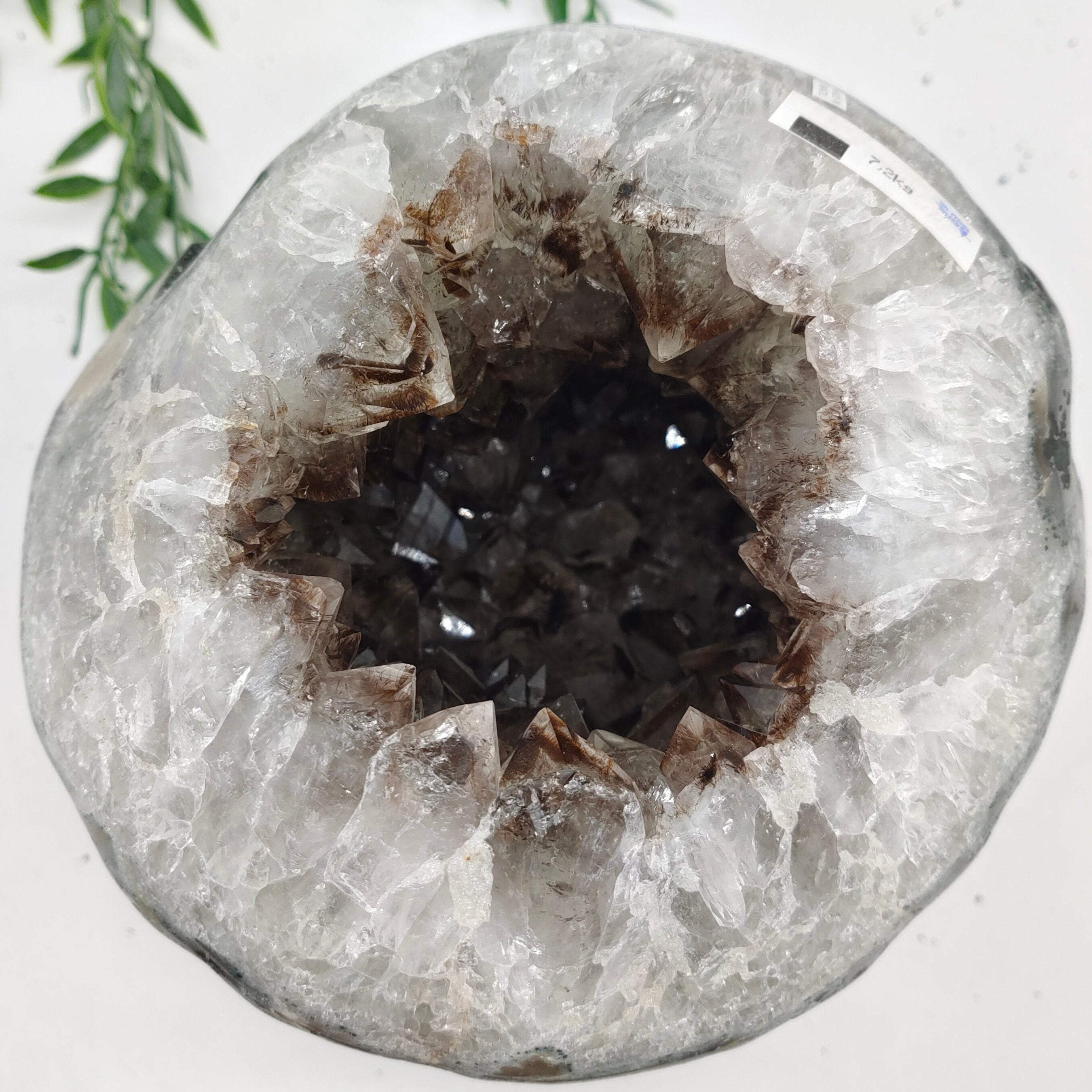 Natural Amethyst Geode 19x18.5x18cm 7.2kgs Crystal Wellness