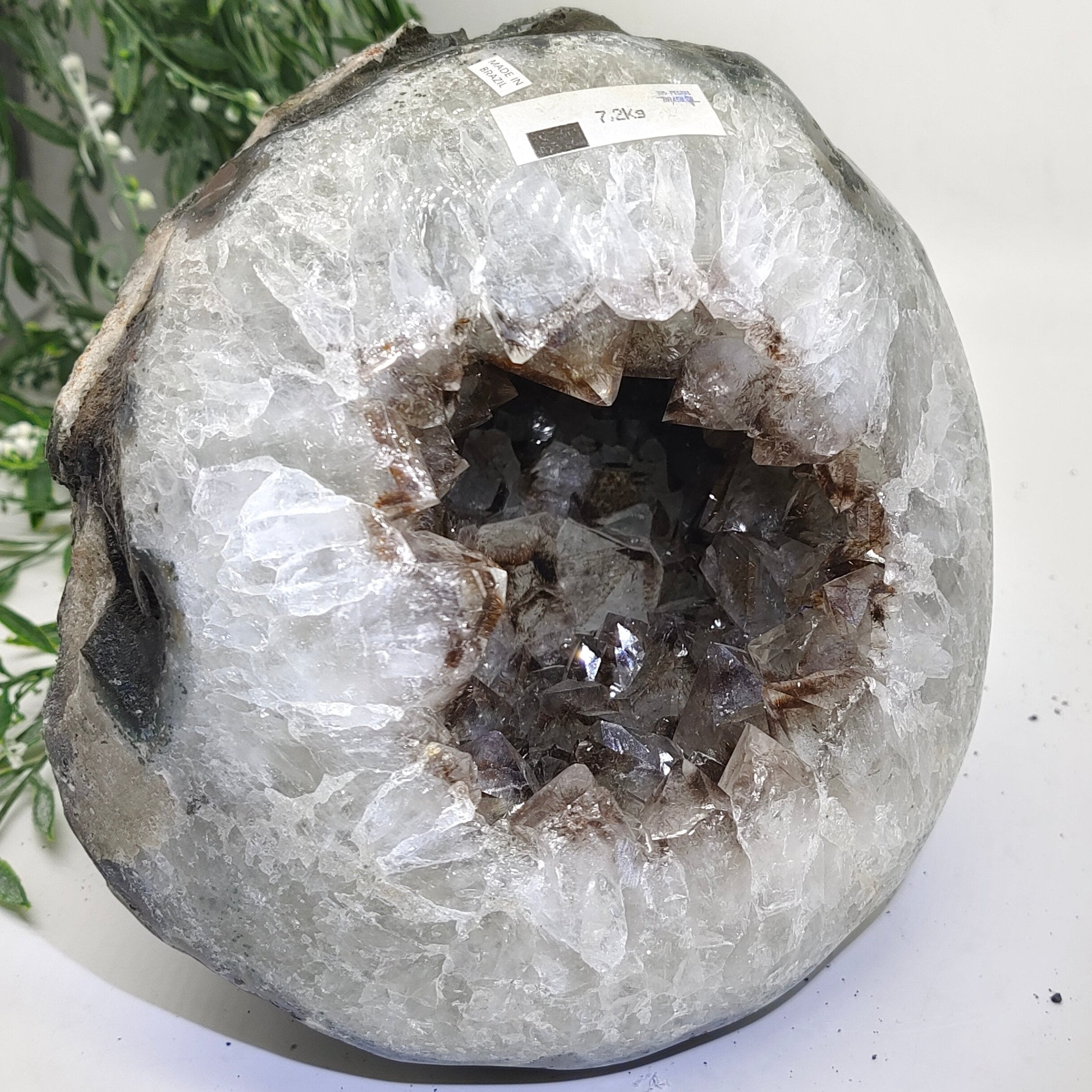 Natural Amethyst Geode 19x18.5x18cm 7.2kgs Crystal Wellness
