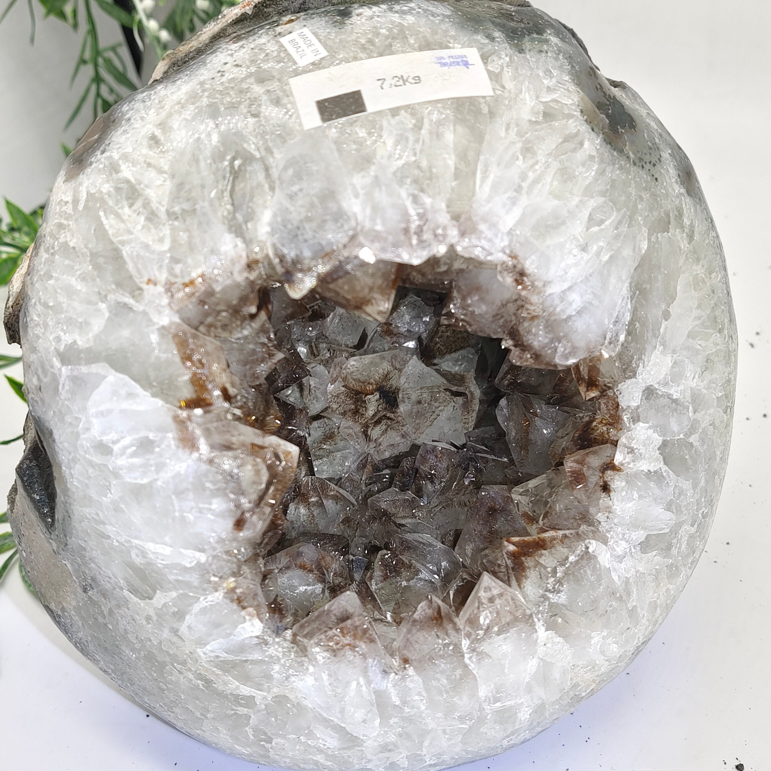 Natural Amethyst Geode 19x18.5x18cm 7.2kgs Crystal Wellness