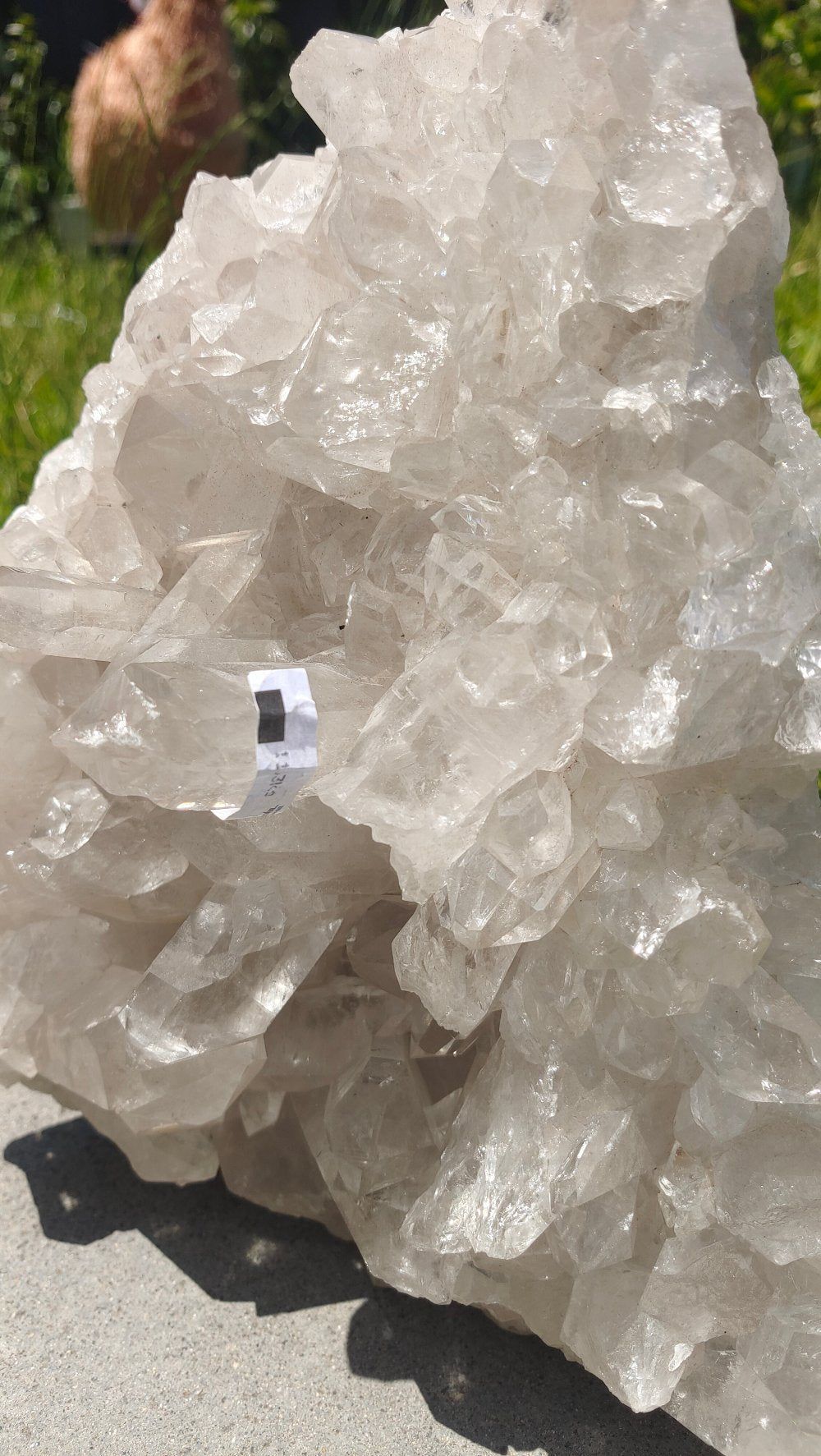 High-Grade Clear Quartz Cluster 11.3Kgs 31x24x20cm Crystal Wellness