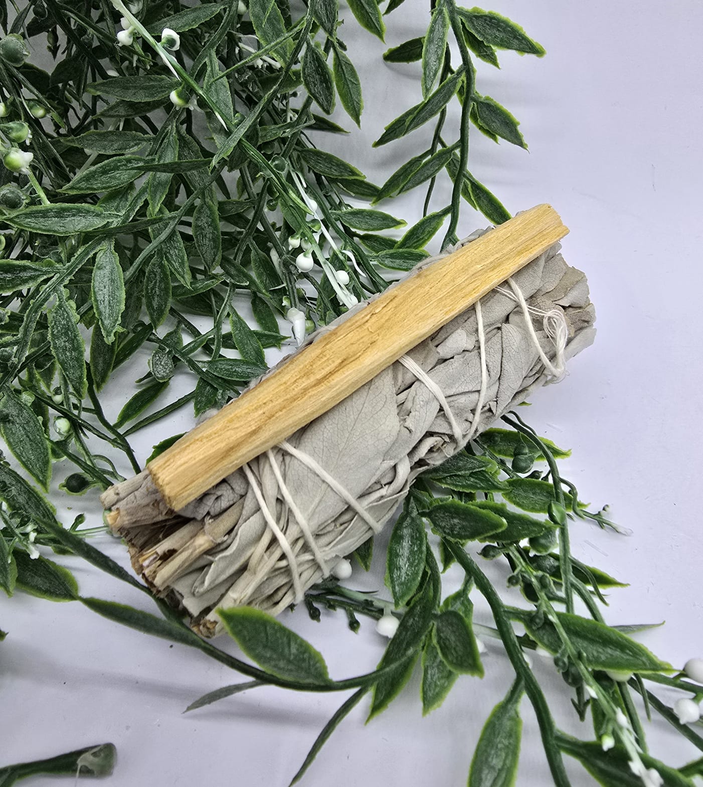 Small California White Sage 12cm Crystal Wellness