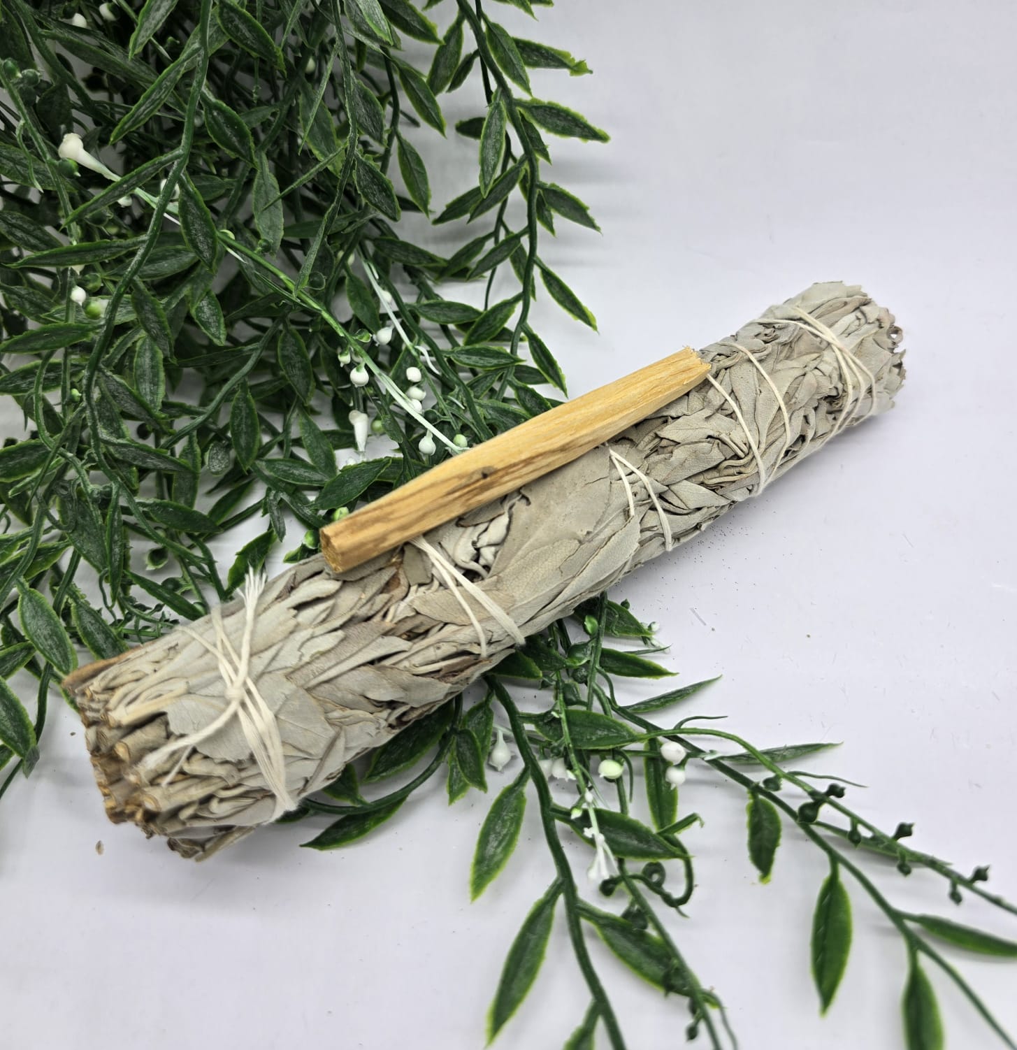 Large Californian White Sage 22cm Crystal Wellness