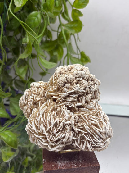 Desert Rose – Stone of Clarity, Confidence & Spiritual Awakening Crystal Wellness