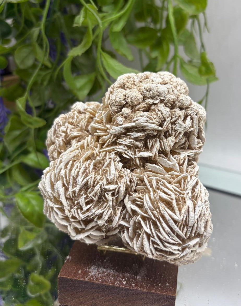 Desert Rose – Stone of Clarity, Confidence & Spiritual Awakening Crystal Wellness