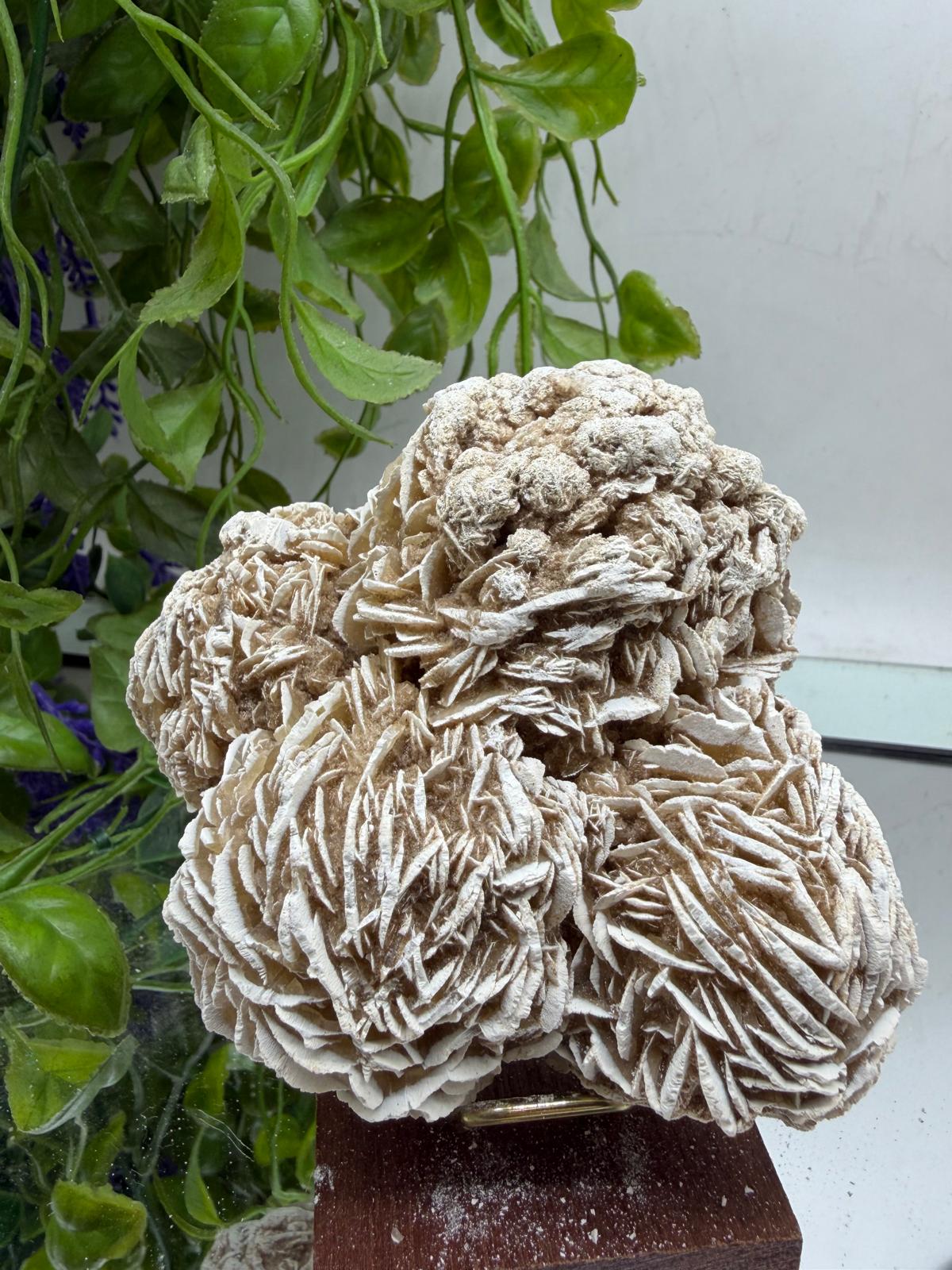 Desert Rose – Stone of Clarity, Confidence & Spiritual Awakening Crystal Wellness