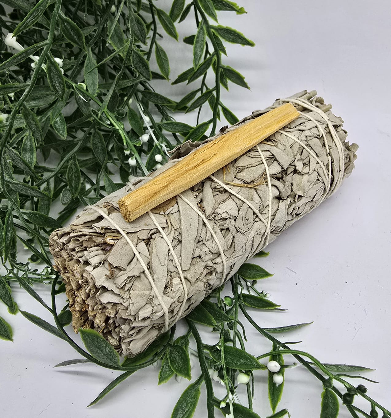 Medium California White Sage 17cm Crystal Wellness