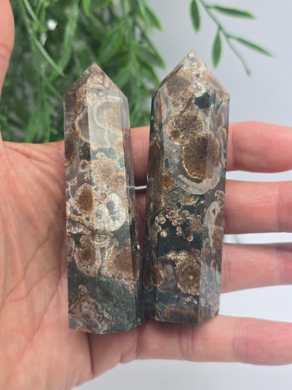 Fossil Agate Point Crystal Wellness