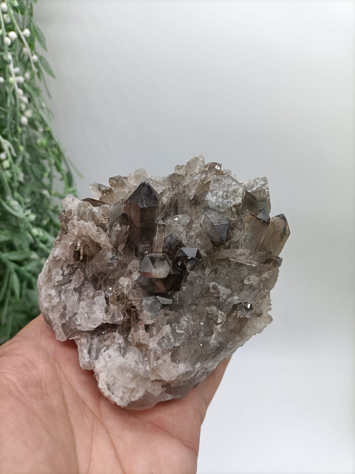 Smokey Quartz Cluster 0.6kg 10x9x7cm Crystal Wellness
