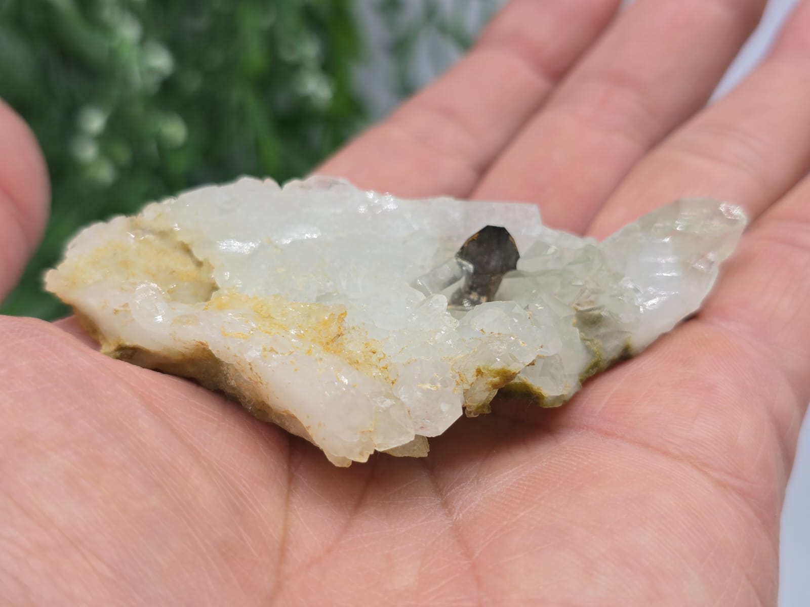 Rare Brookite Crystal 47g Crystal Wellness