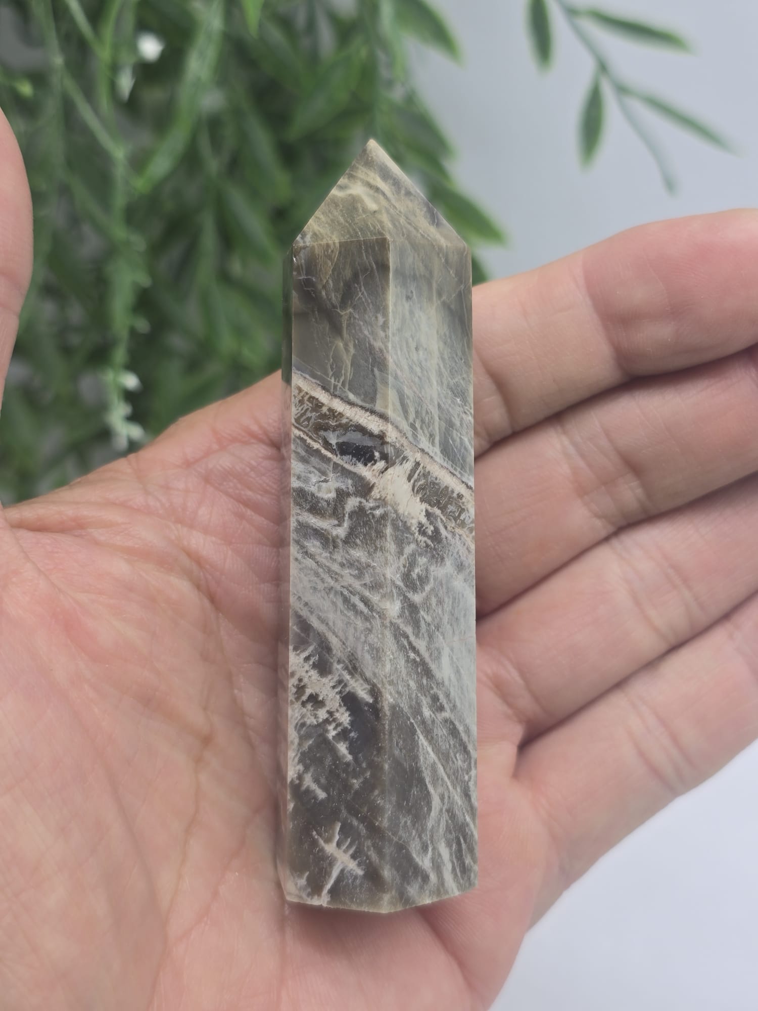 Petrified Wood Point Crystal Wellness