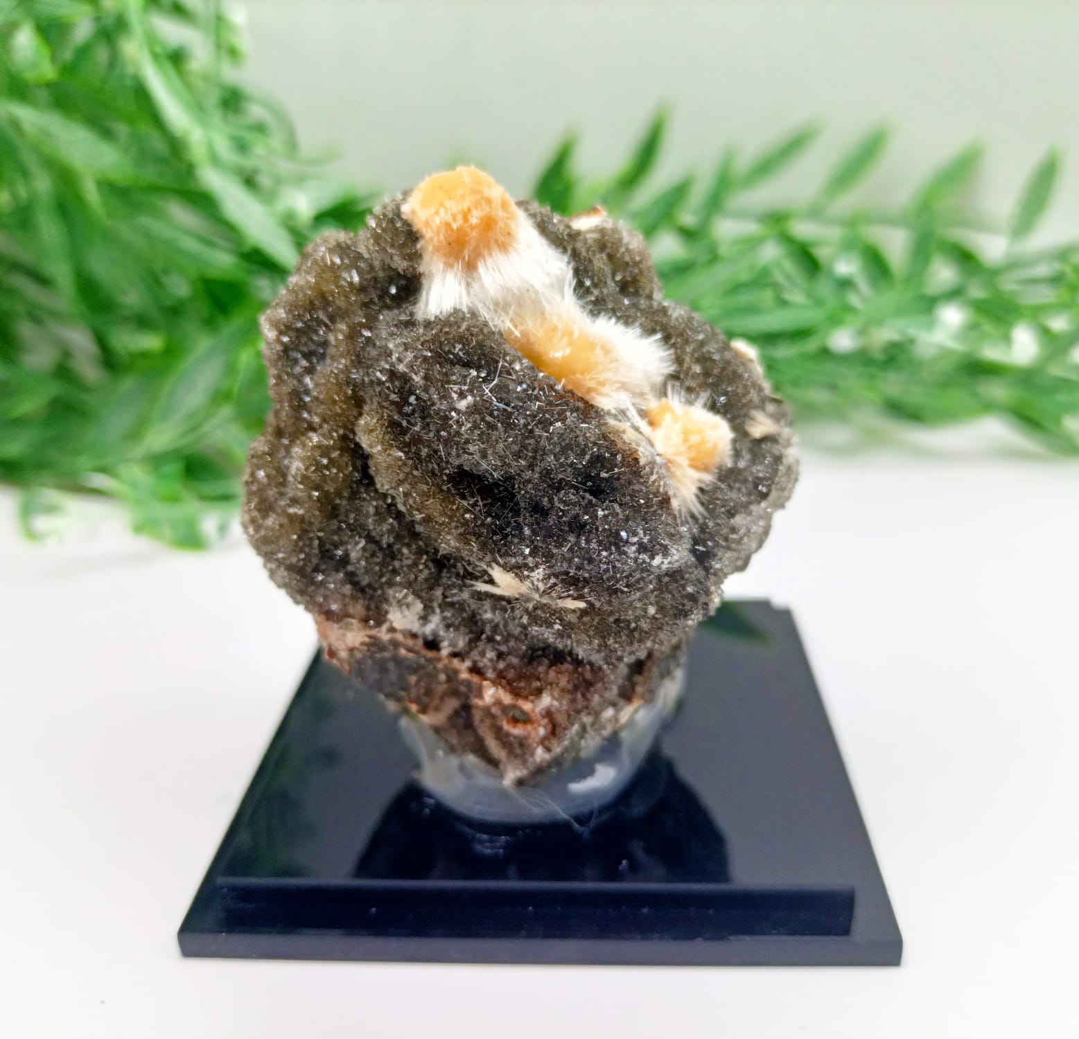 Thomsonite with Mesolite Spikes AAA Grade 49x49x44mm Crystal Wellness