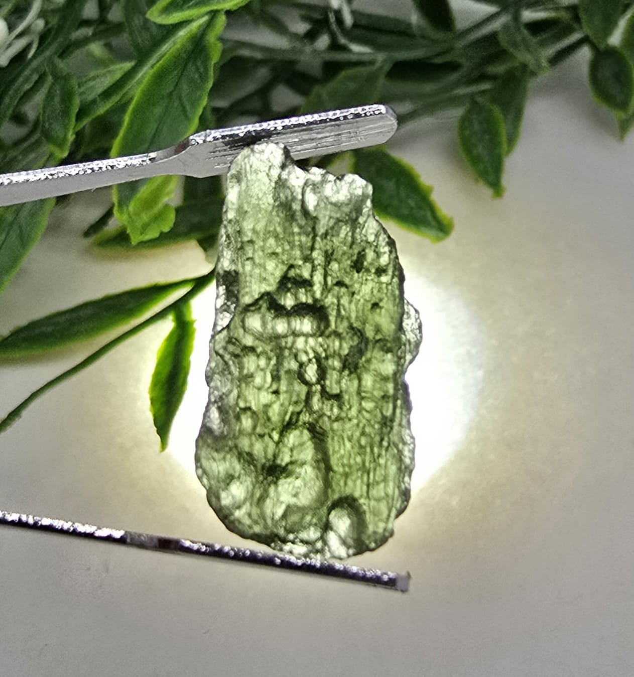 Authentic Moldavite 2.15g 24x12x5mm Crystal Wellness