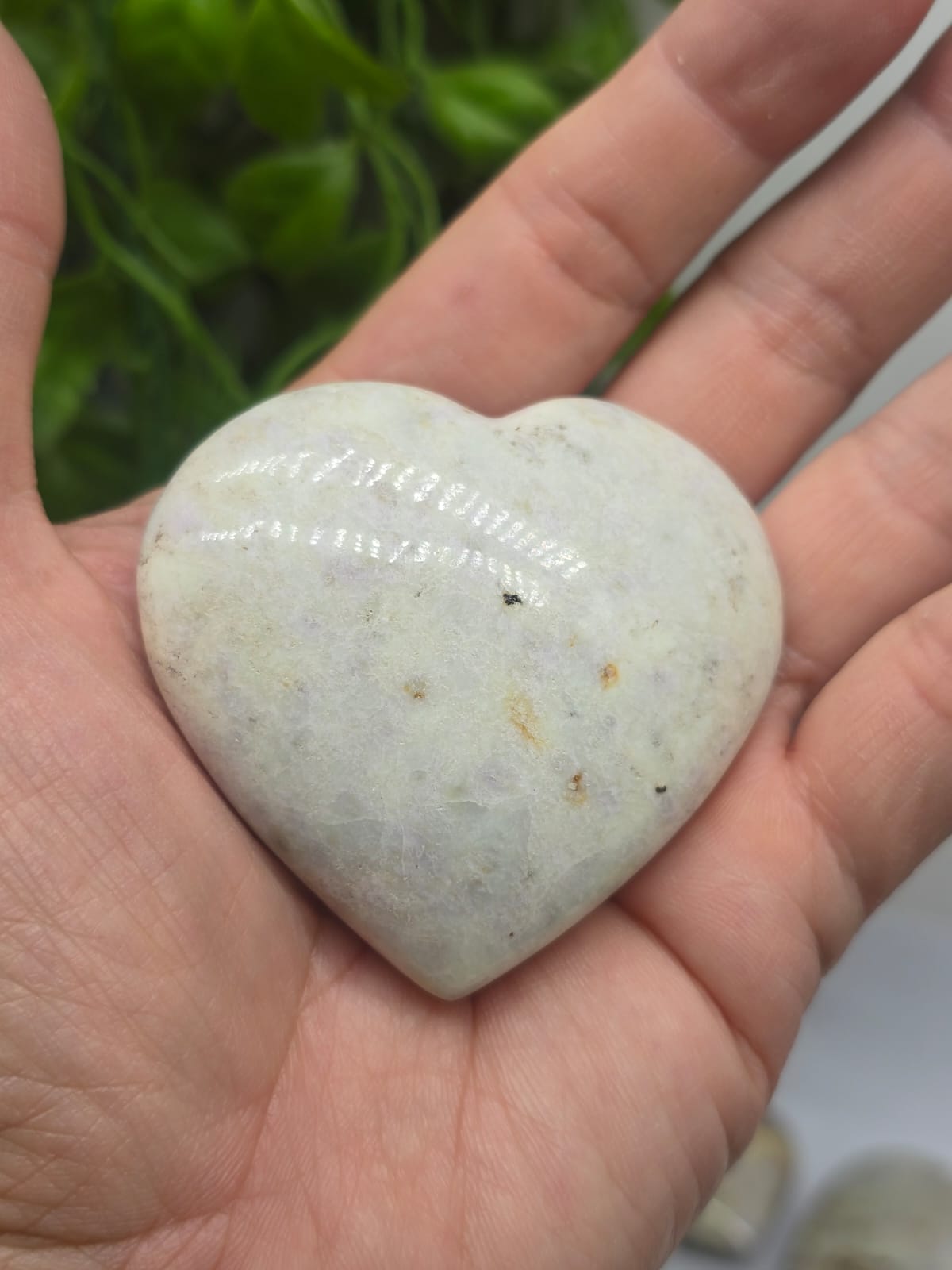 Hackmanite Heart Shape Crystal Wellness