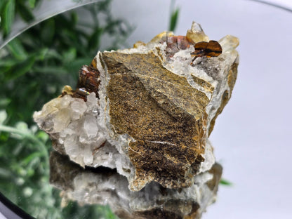 Rare Brookite Crystal 187g Crystal Wellness