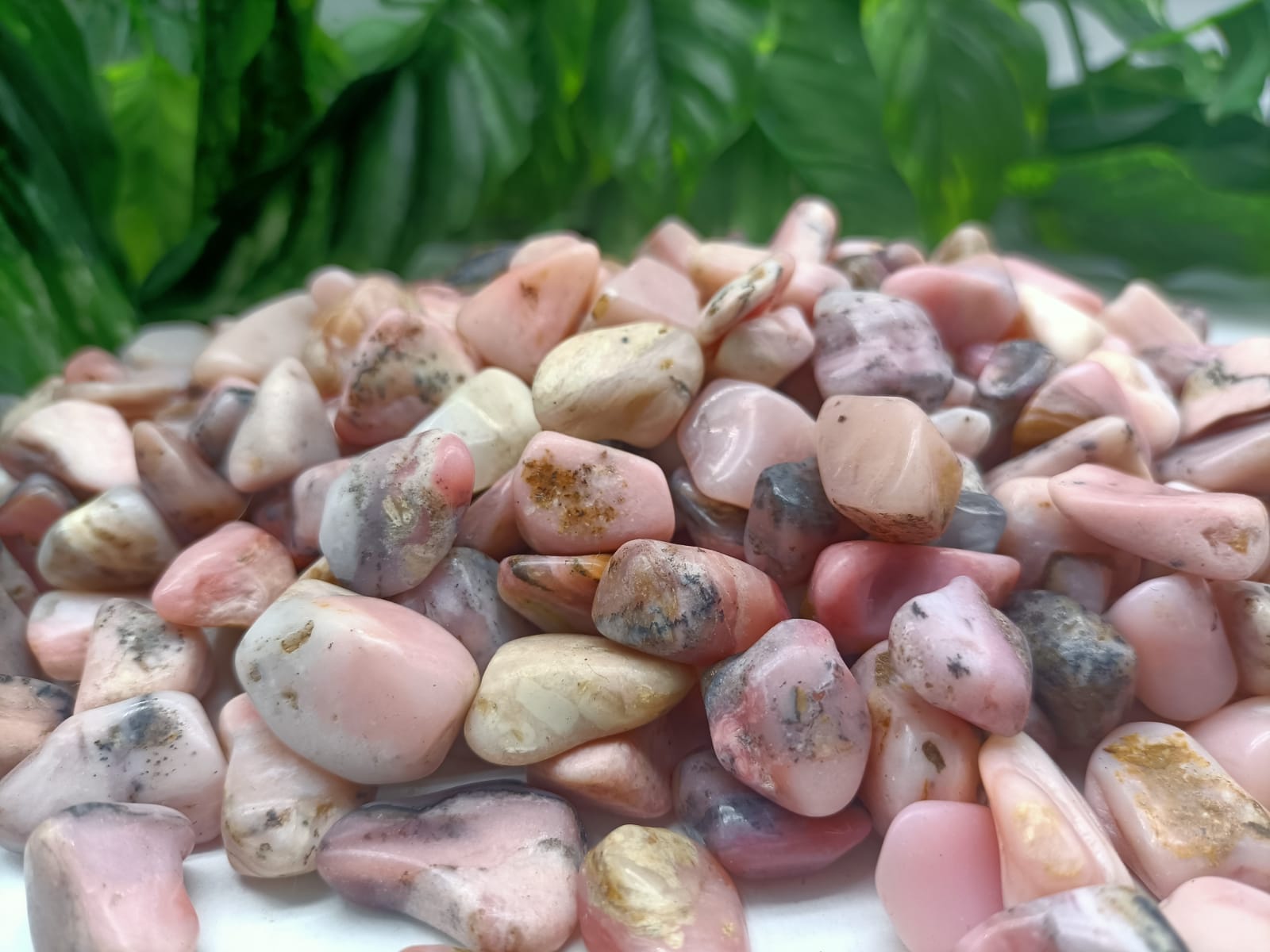 Pink Peruvian Opal Crystal Wellness