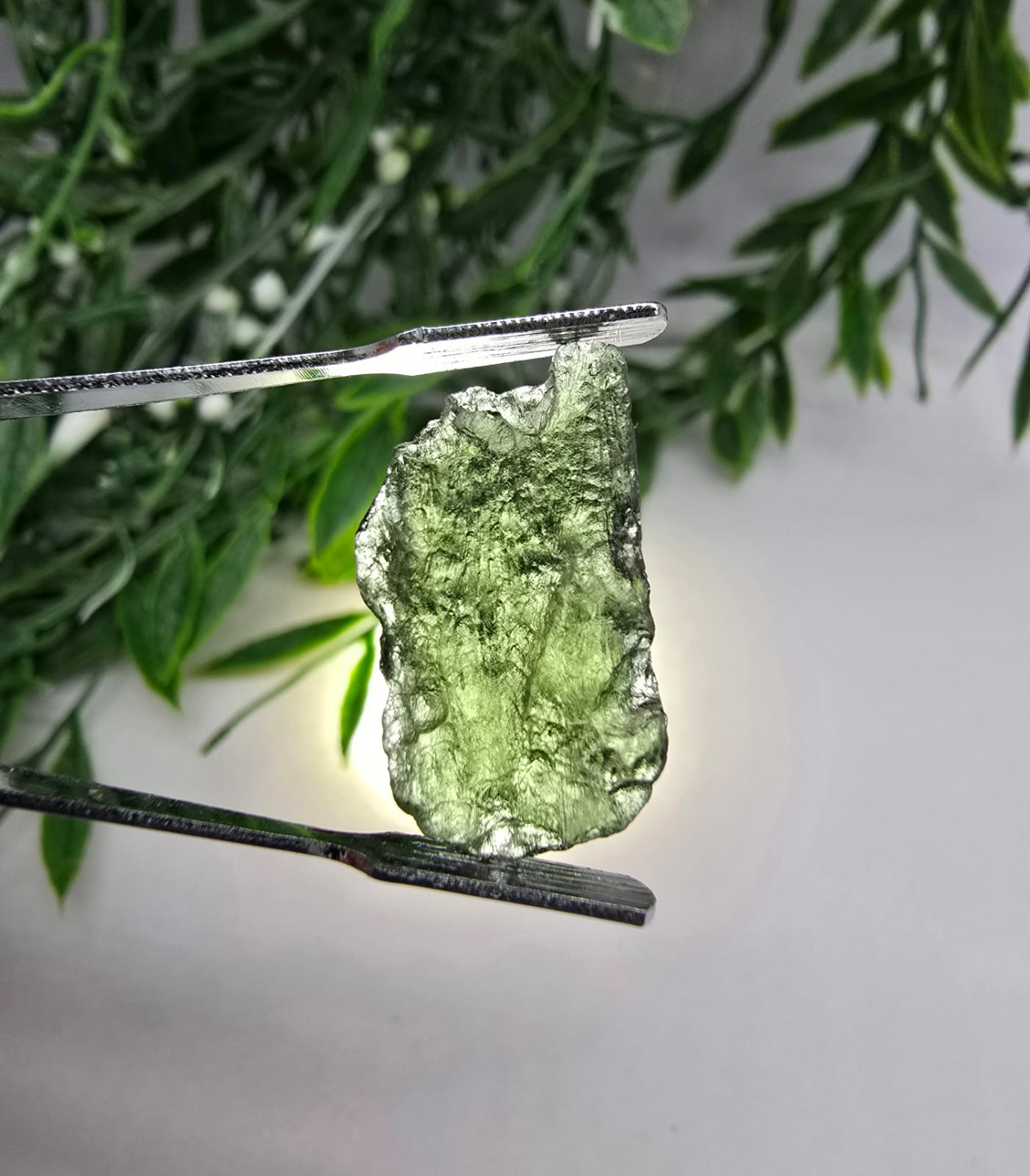 Authentic Moldavite 2.15g 24x12x5mm Crystal Wellness