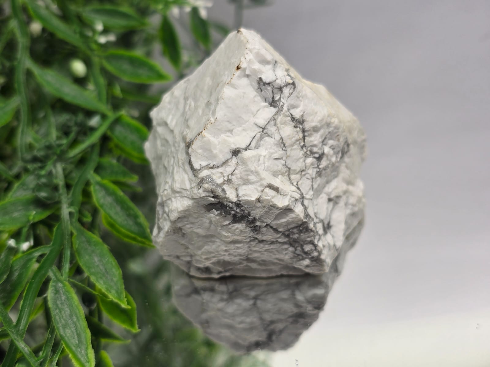 Howlite Raw Crystal Wellness