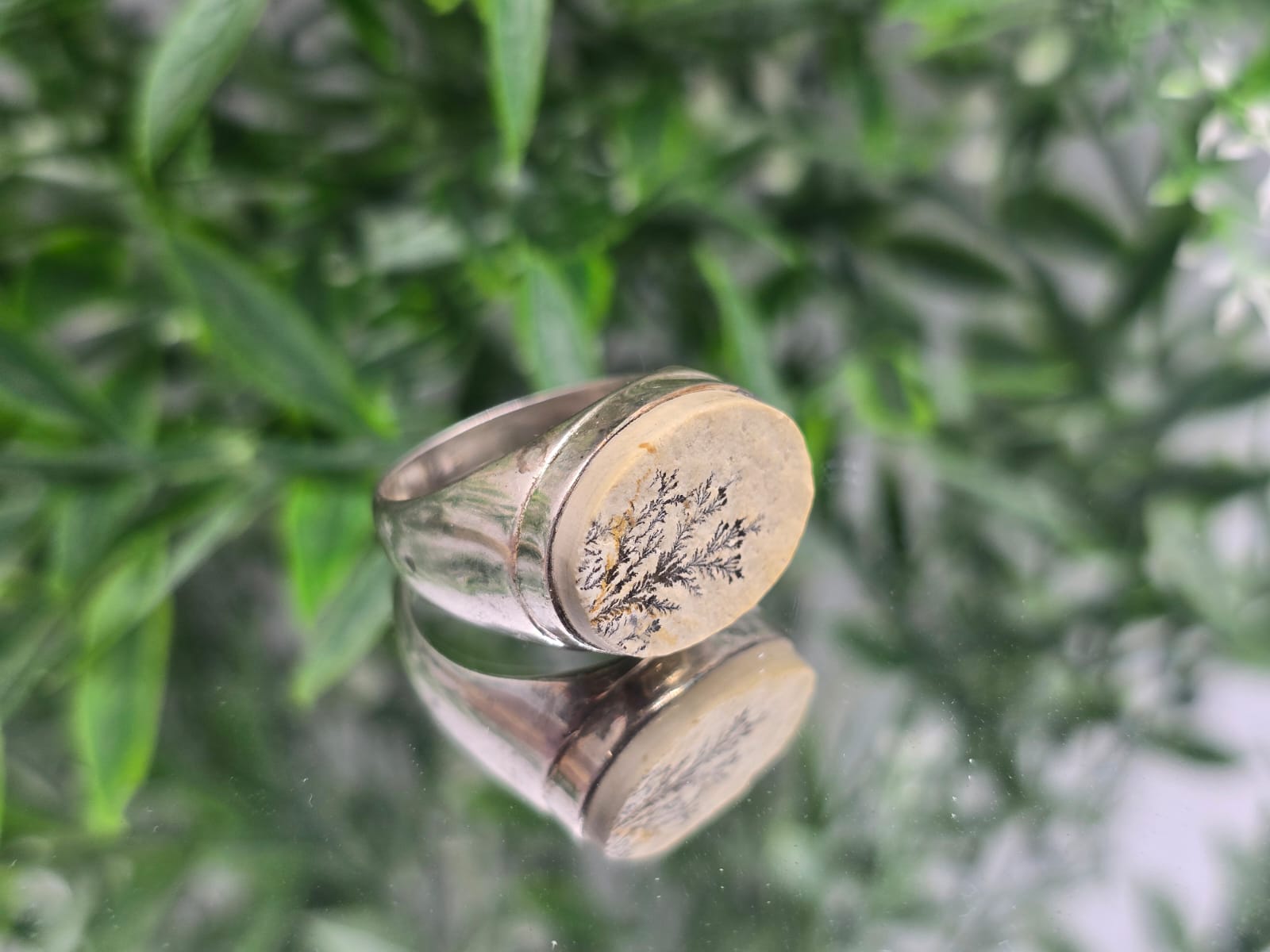 Scenic Agate Ring Size 9 Crystal Wellness